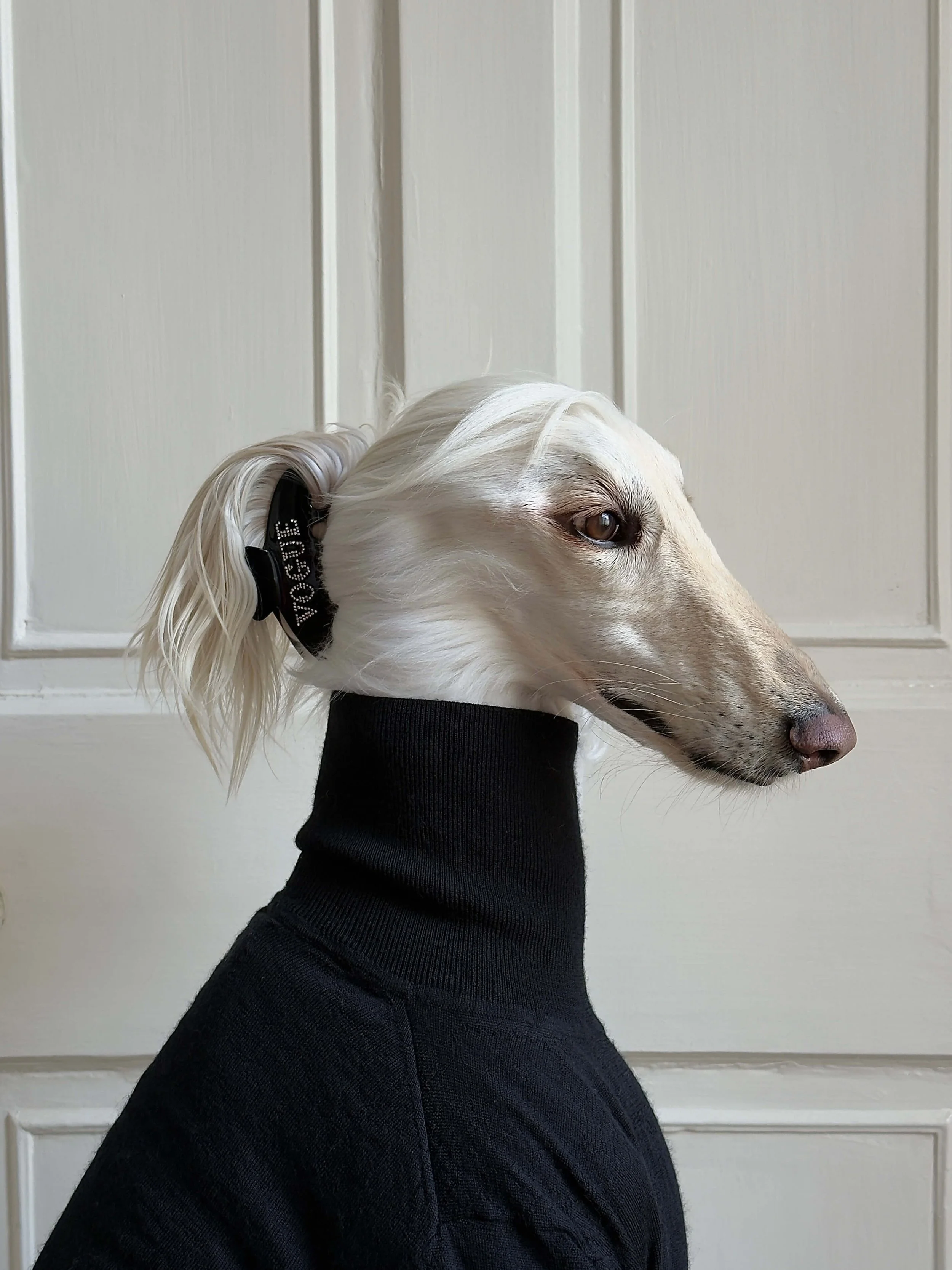 Samantha the afghan hound wearing a VOGUE hair clip