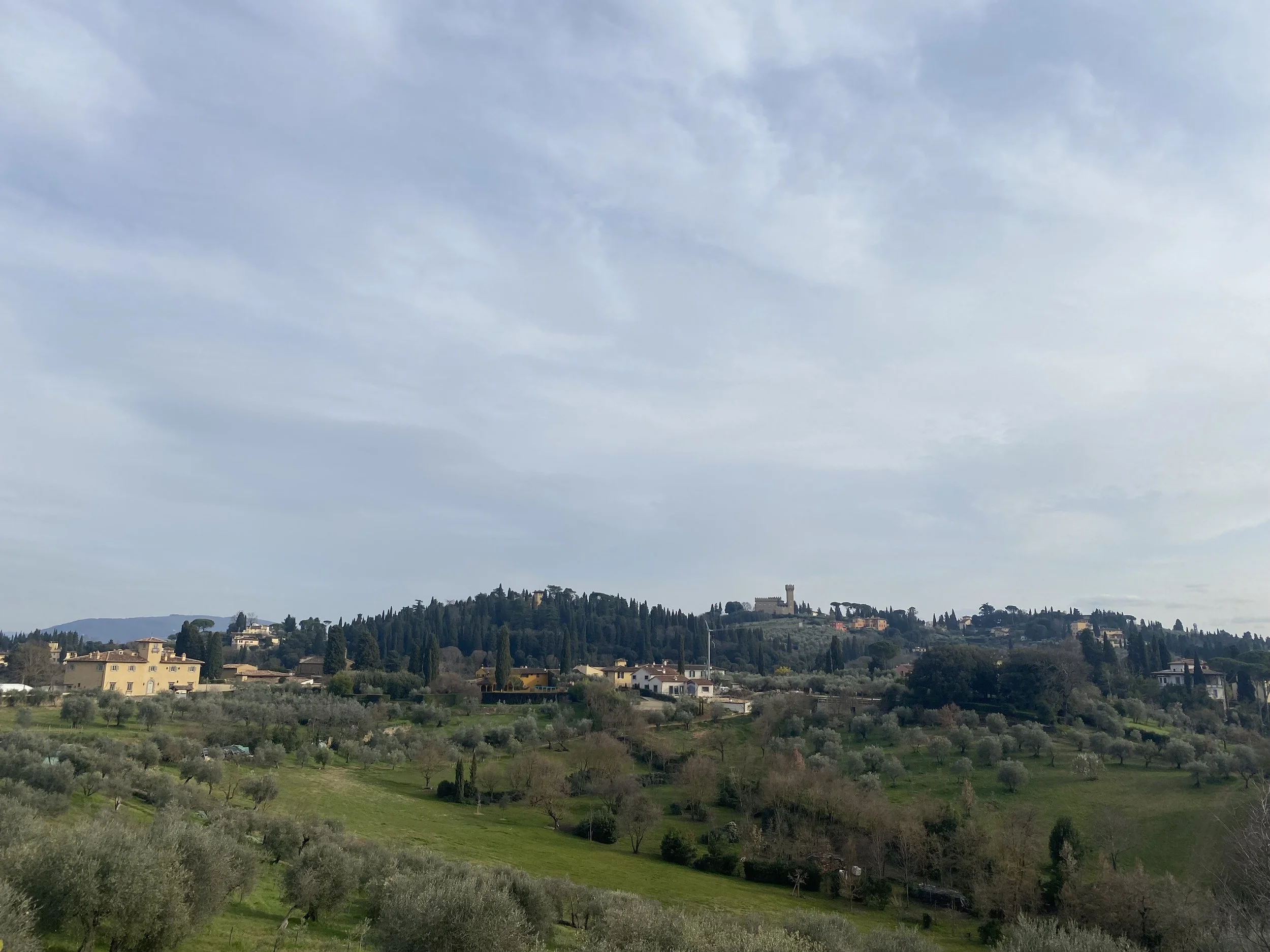 IMG_4175.jpeg