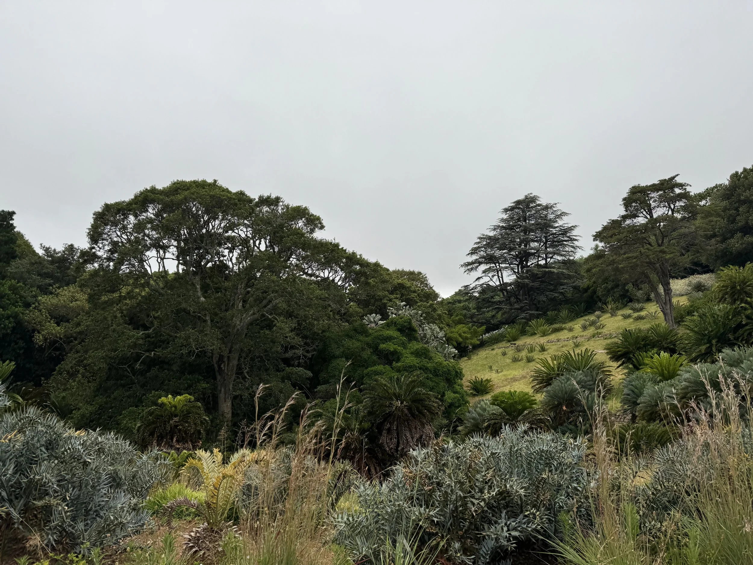 IMG_0633.jpeg