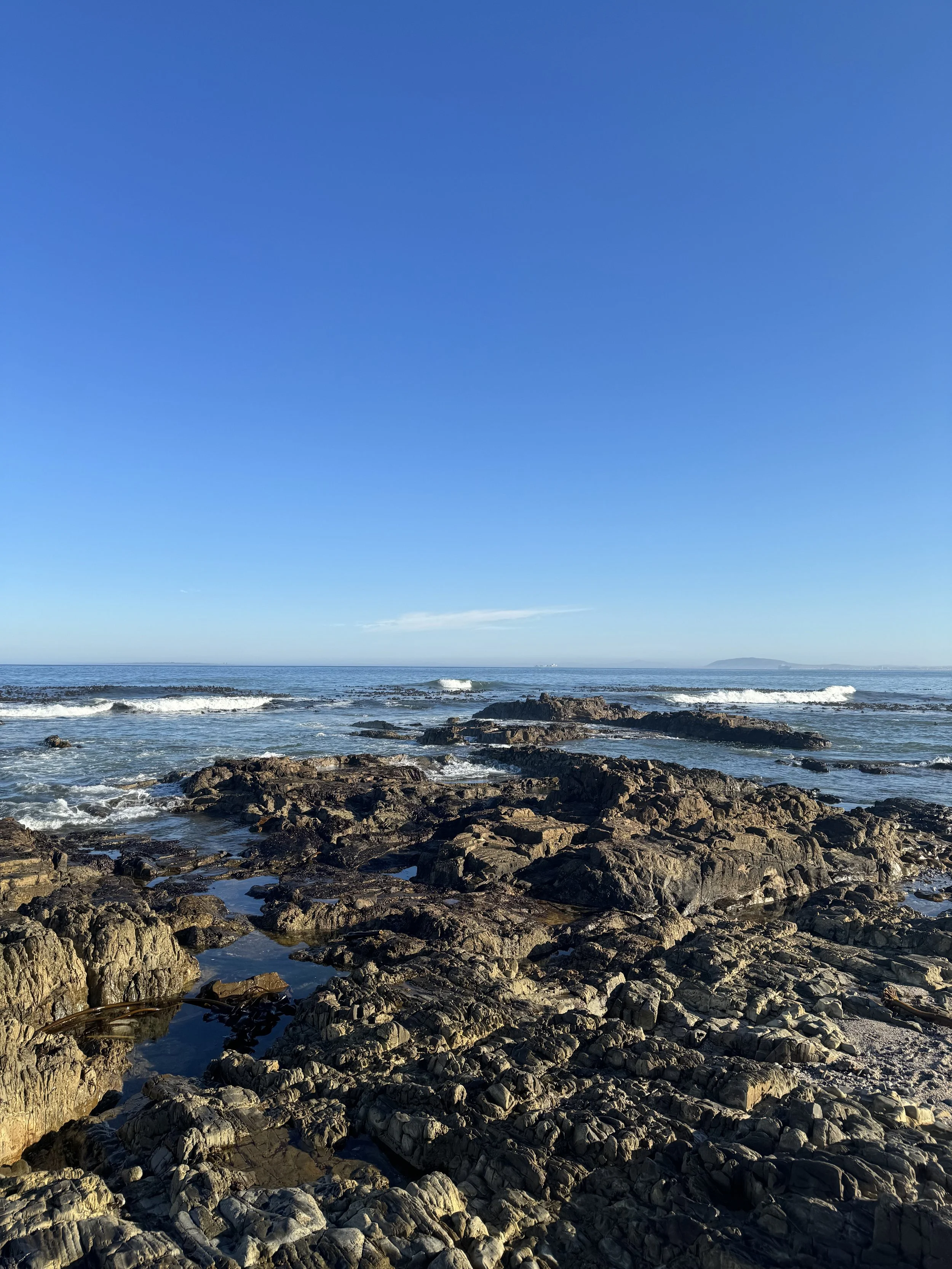 IMG_0332.jpeg