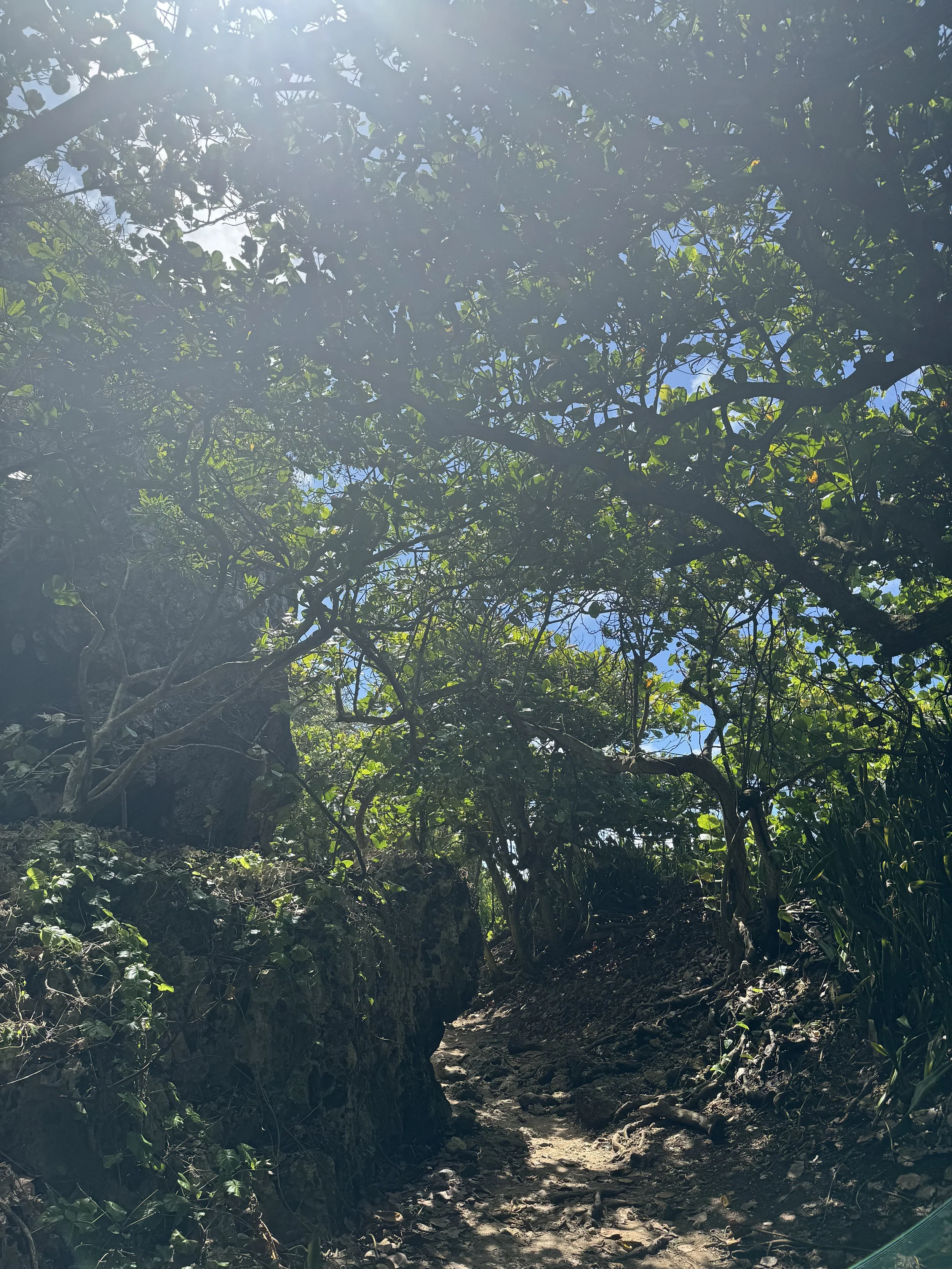 IMG_0355.jpeg