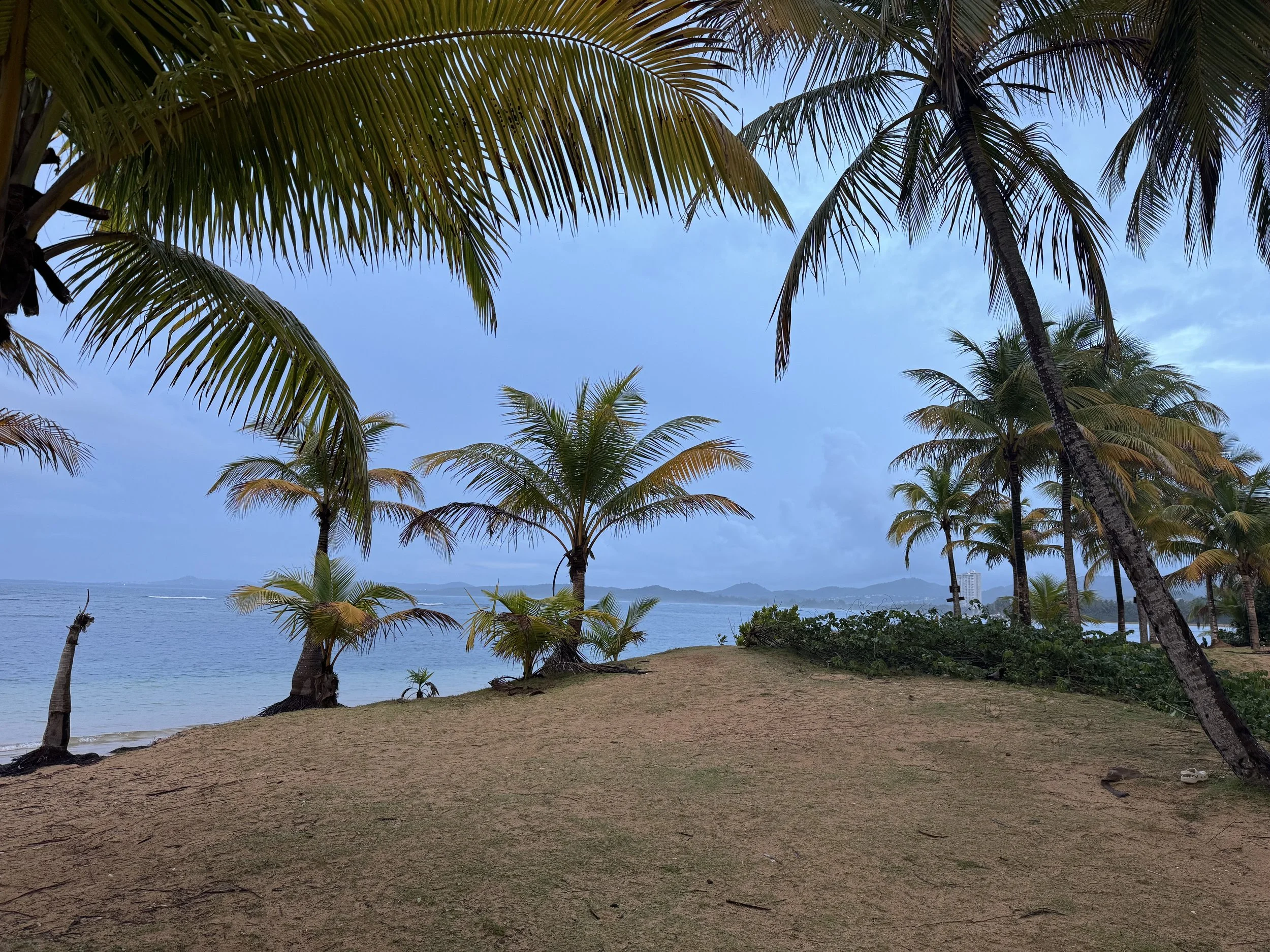 IMG_0287.jpeg