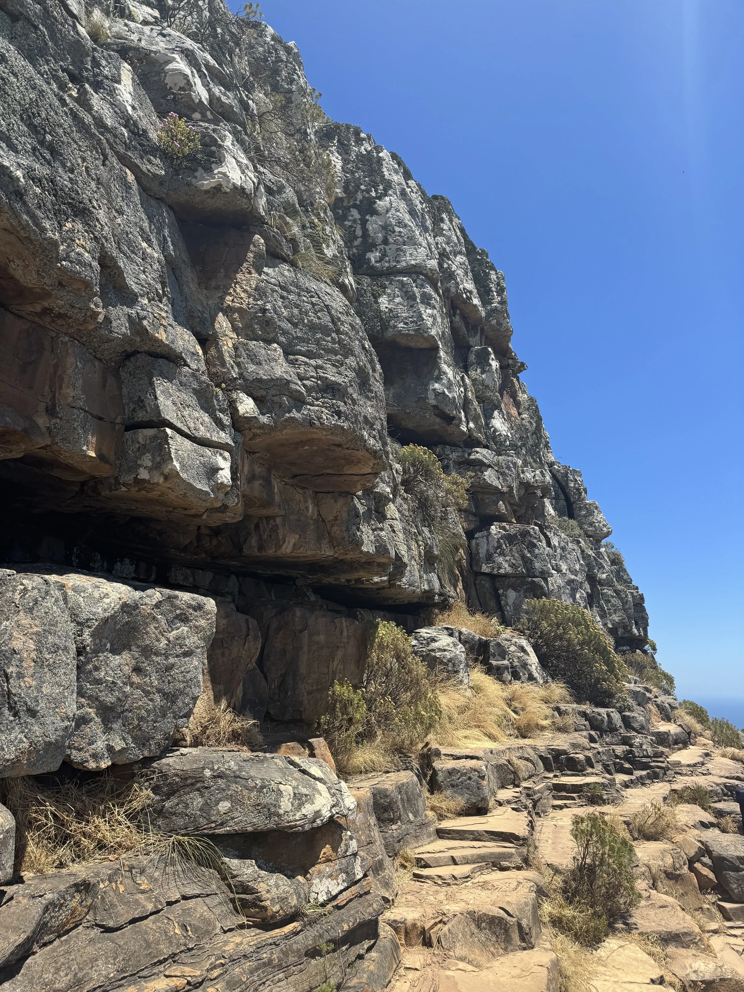 IMG_0485.jpeg