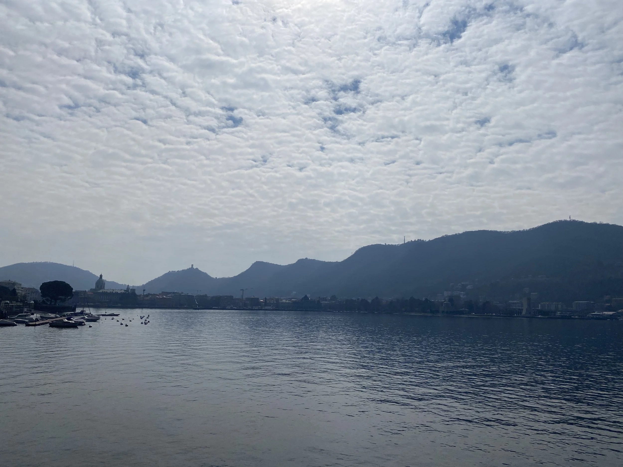 IMG_4068.jpeg