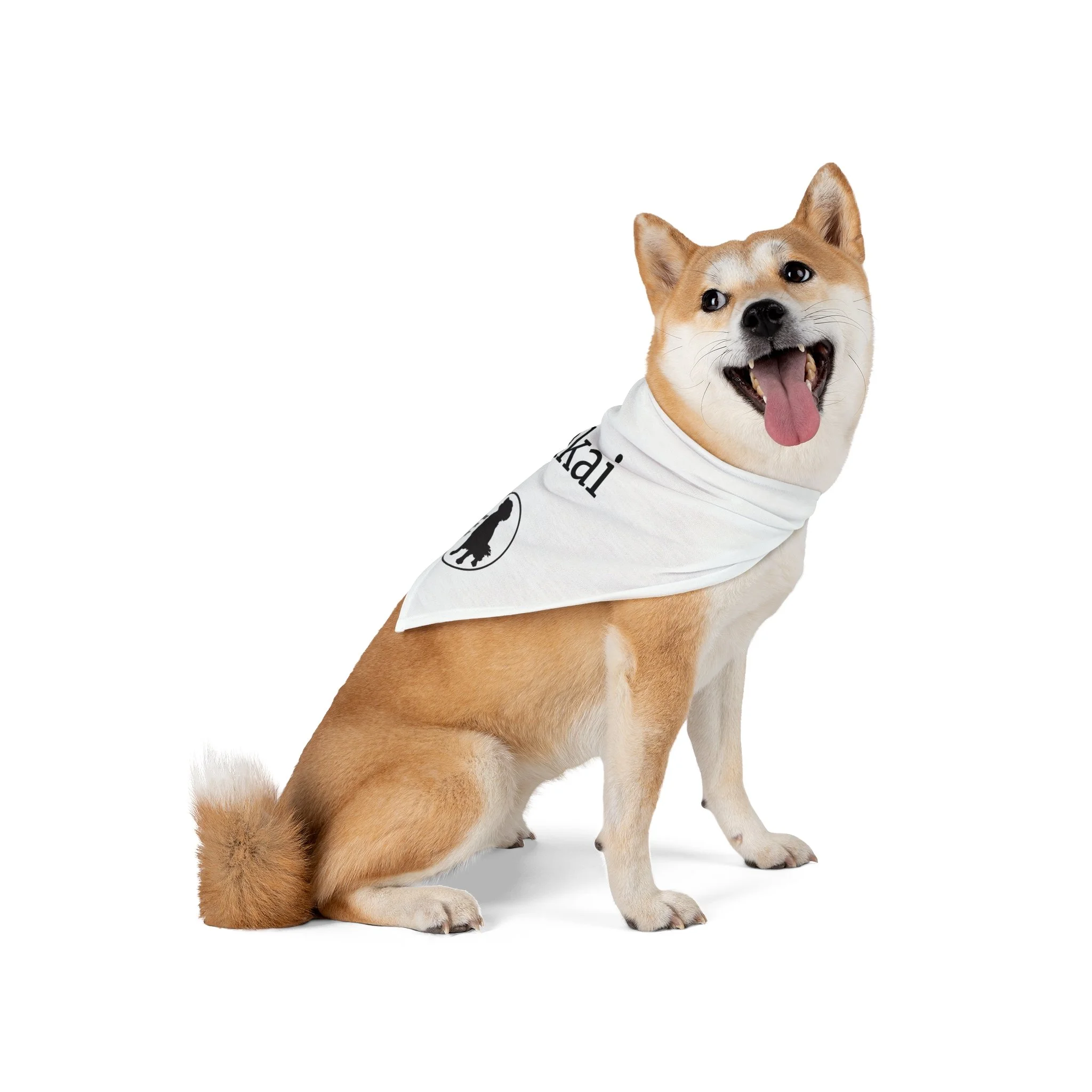 Lifestyle 2. White Shiba Inu.jpg