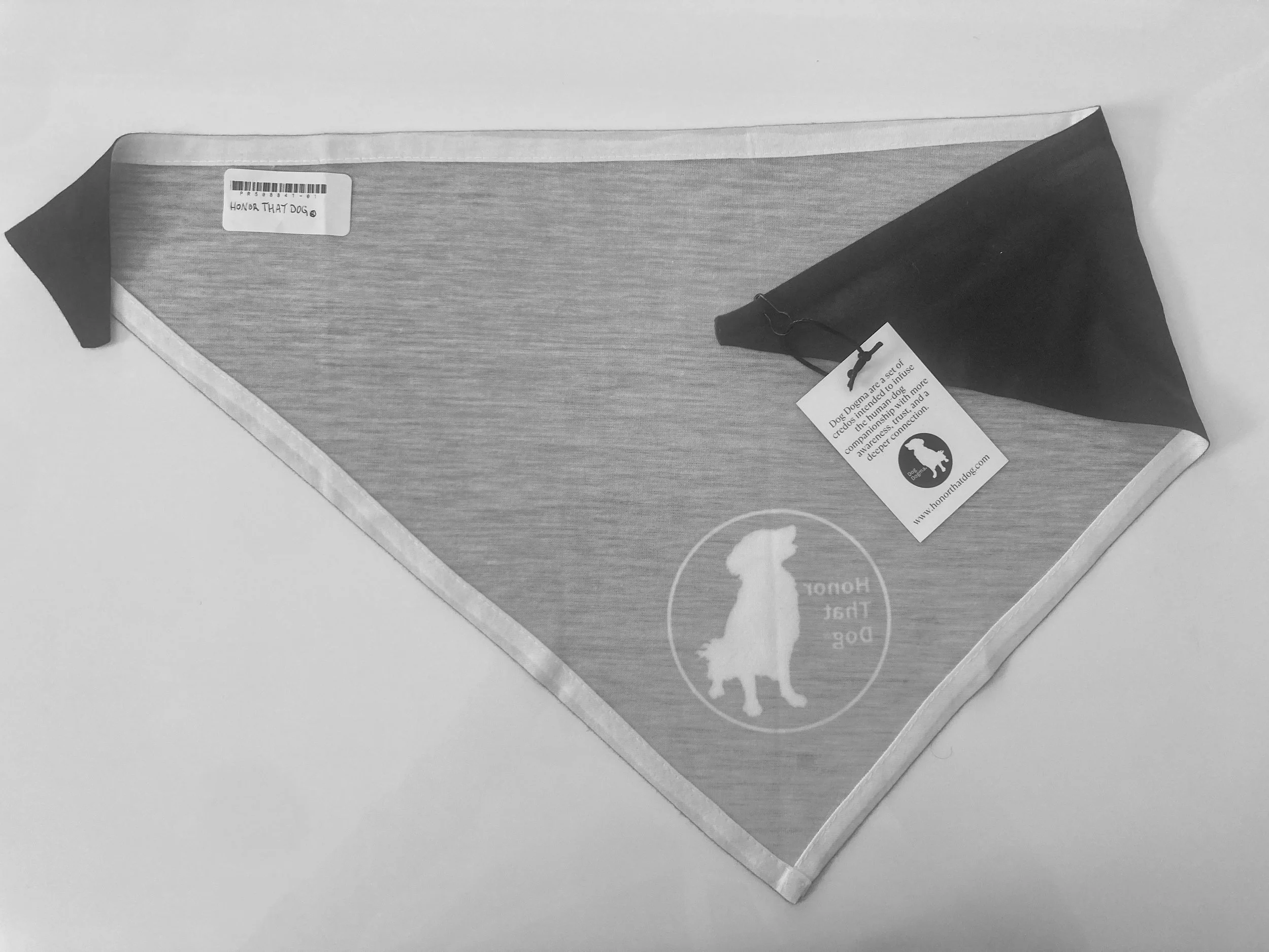 Black scarf back.jpeg