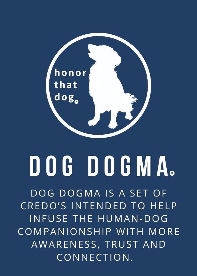 Dog%2BDogma%2Bare%2Bcedo%2527s.jpg