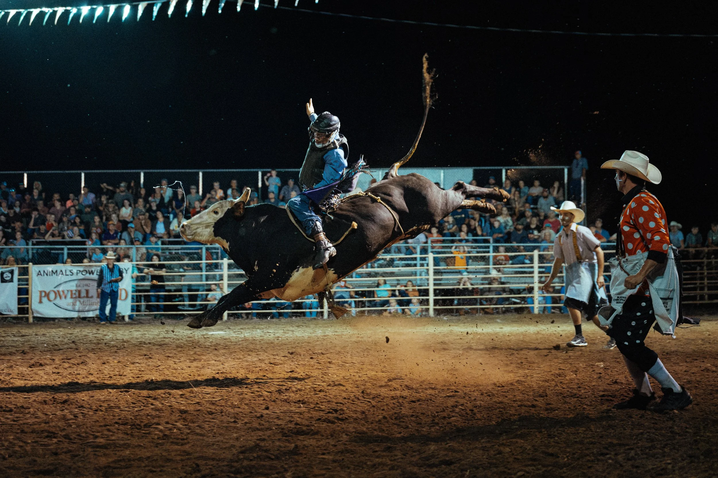Lawrence County Rodeo