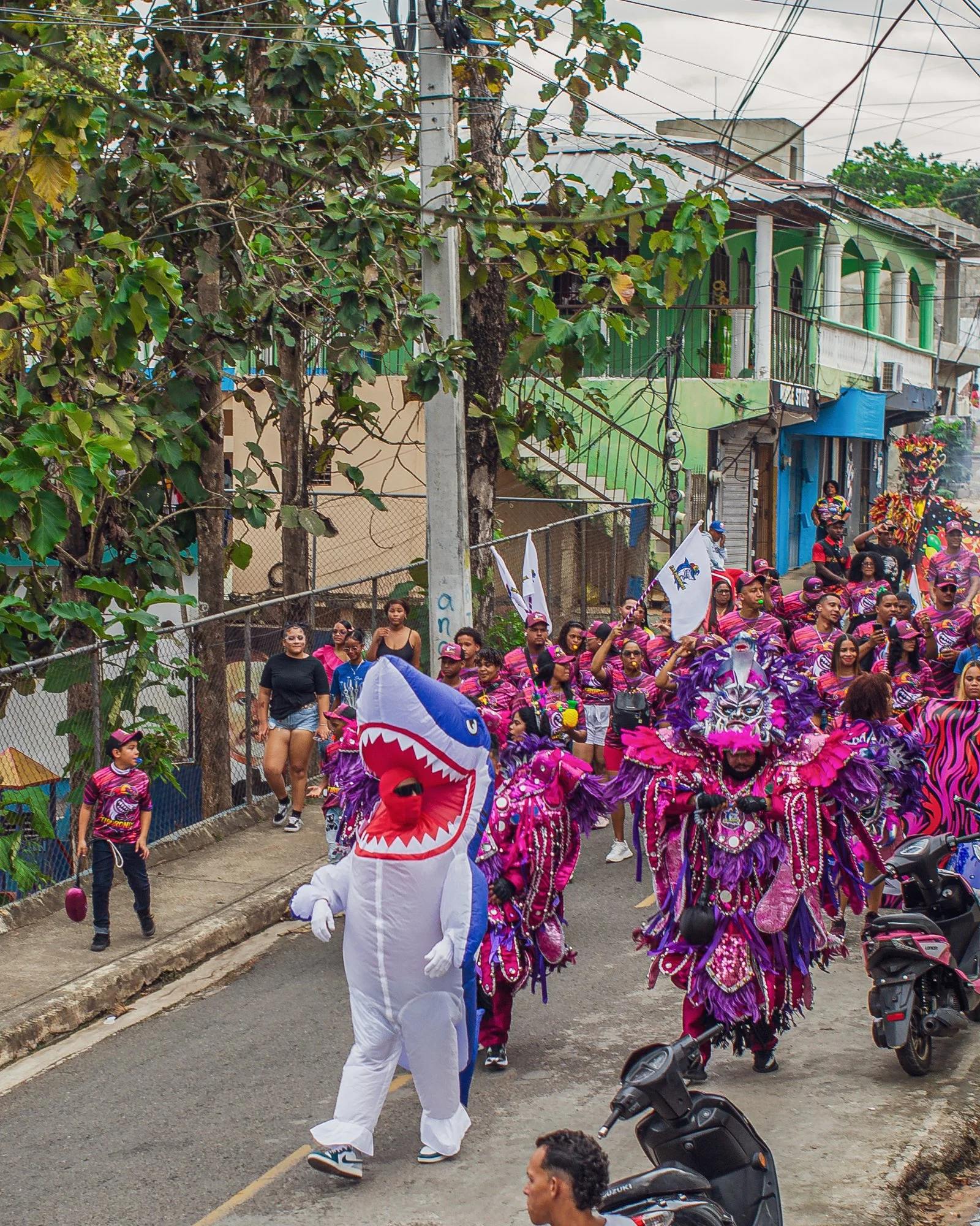 Carnaval Piedra Blanca 2026-47.jpg