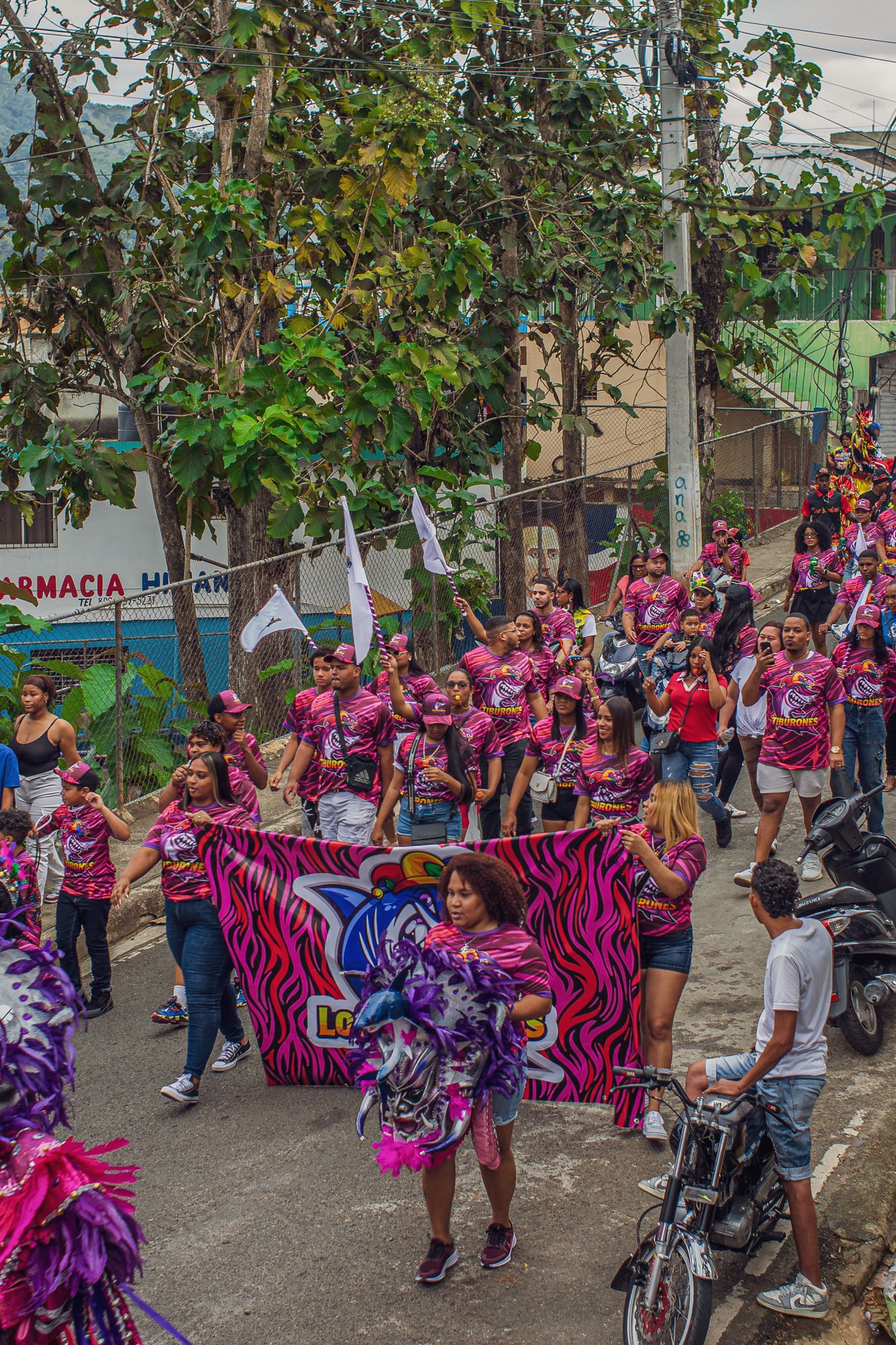 Carnaval Piedra Blanca 2026-50.jpg