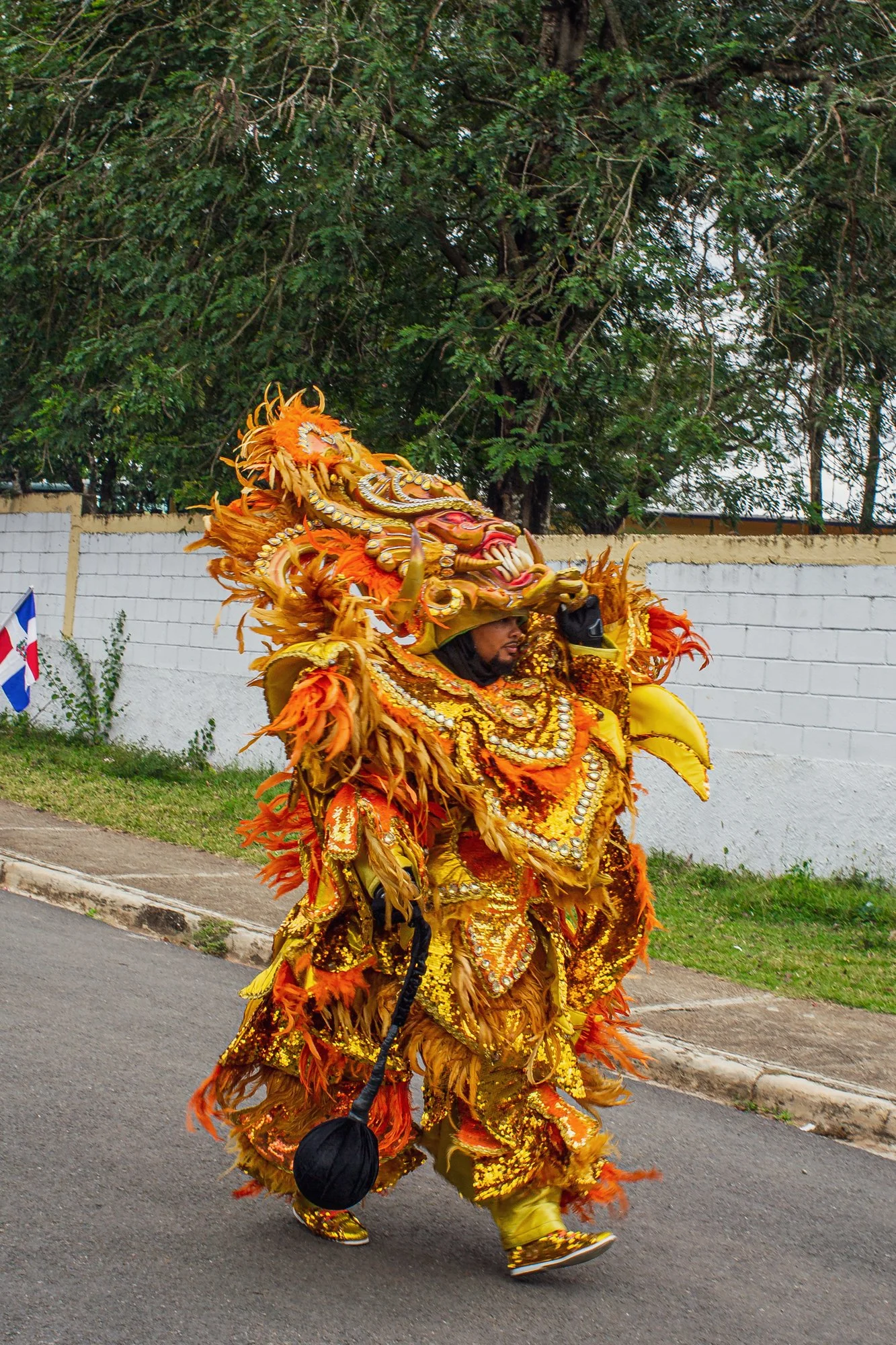 Carnaval Piedra Blanca 2026-11.jpg