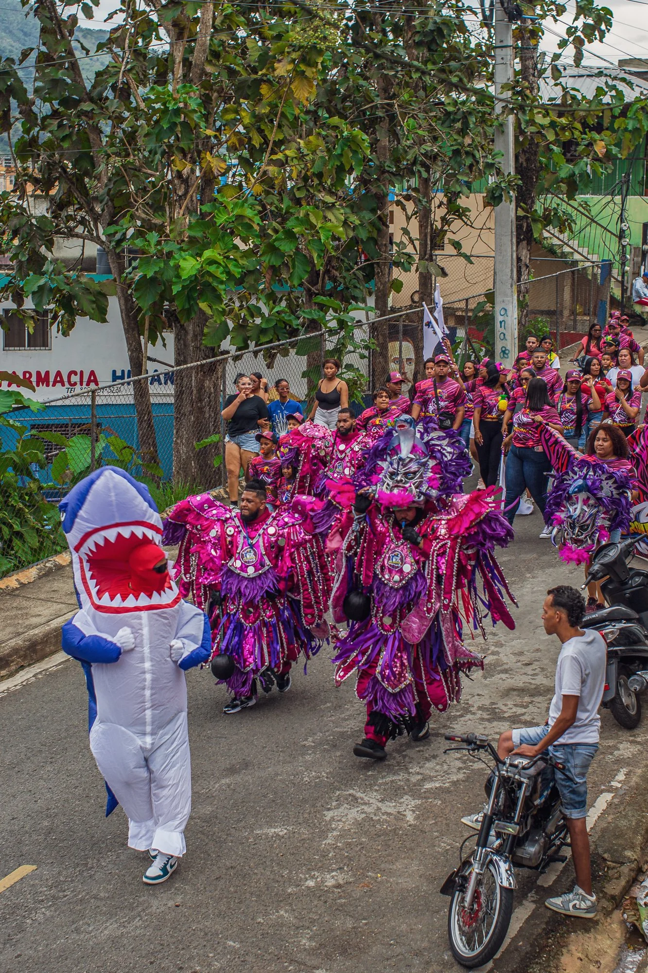 Carnaval Piedra Blanca 2026-48.jpg