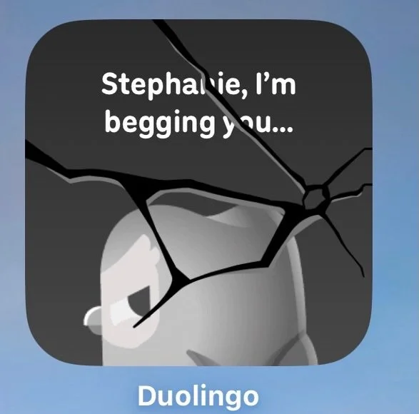 Not the only man, recently, to beg me to come back. 

#duolingo #russianlanguage #italianlanguage #contentcreator