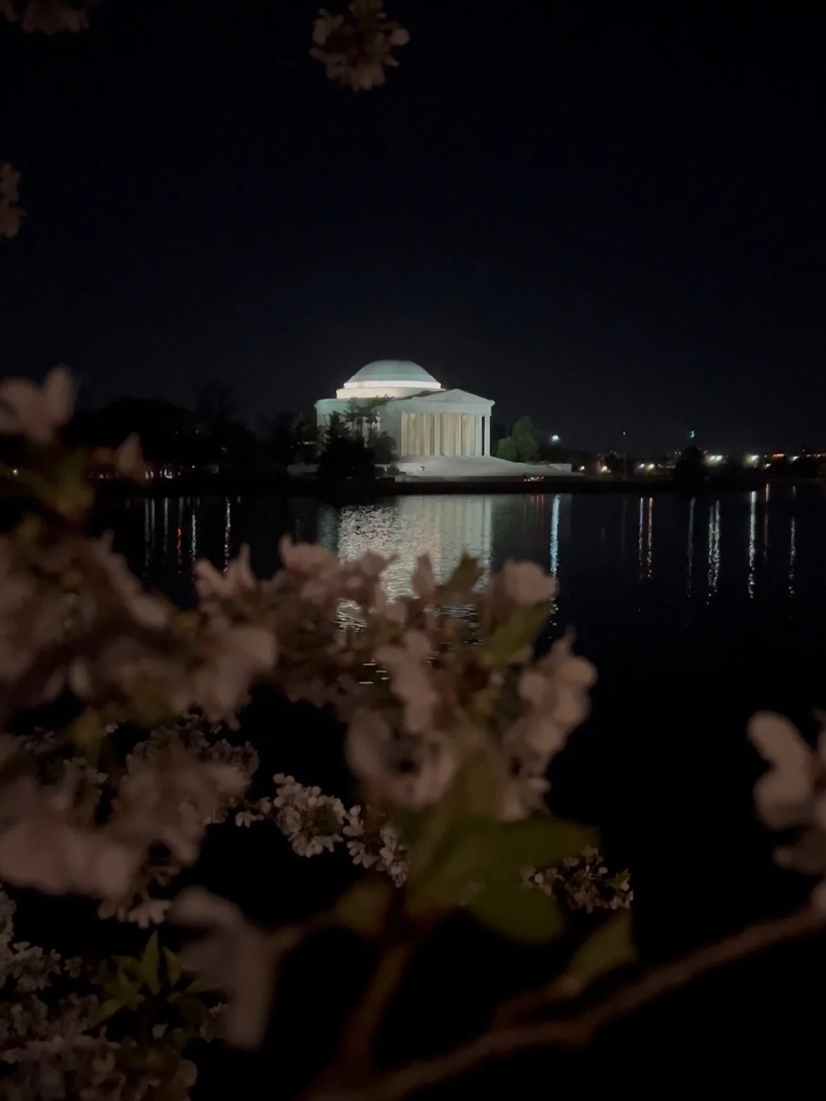 DC at night is truly something else. Even during one of the busiest weekends of the year there were ZERO crowds. 
#washingtondc #cherryblossoms #traveltips #contentcreator