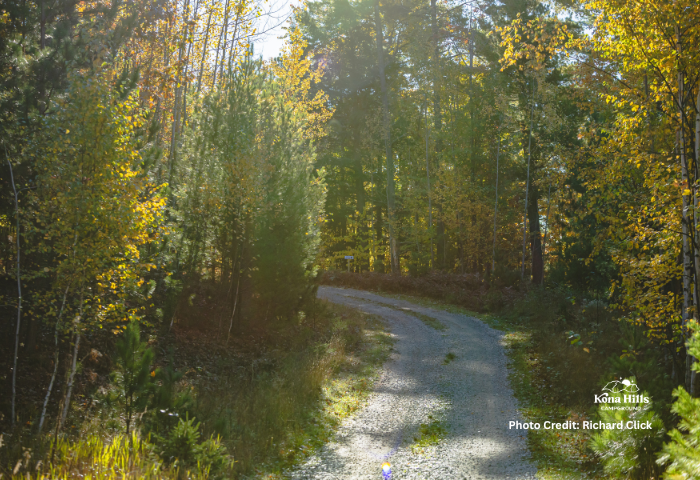Road leading to the Back Pack cluster