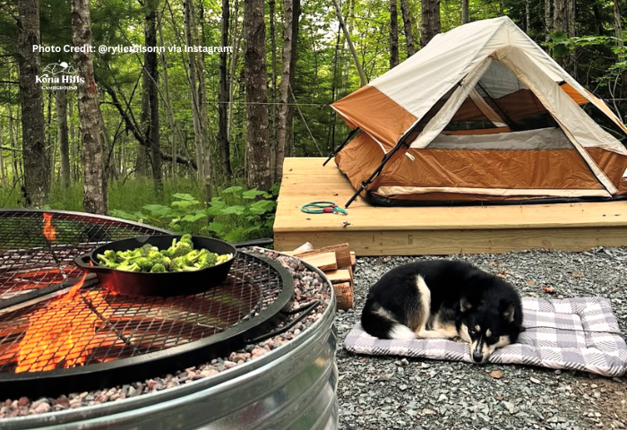 Cooking grates, dog friendly, and tent sites with wooden platforms for a level surface