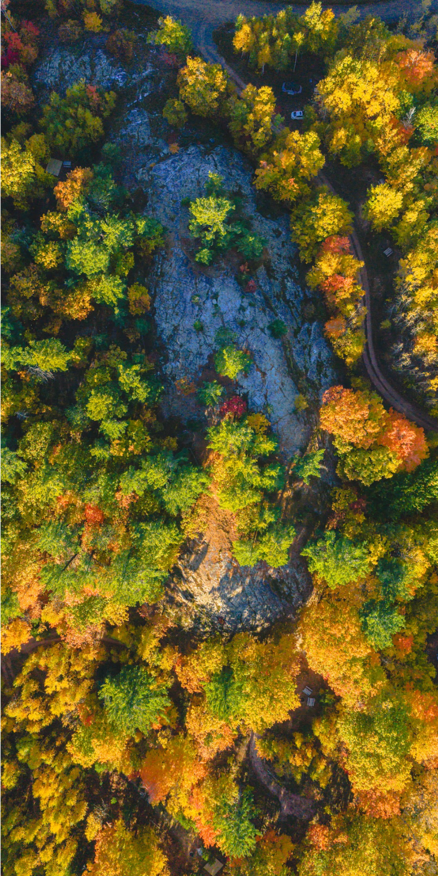 An aerial view of a forest with colorful autumn leaves surrounding large rocky formations and a winding dirt road with parked cars.
