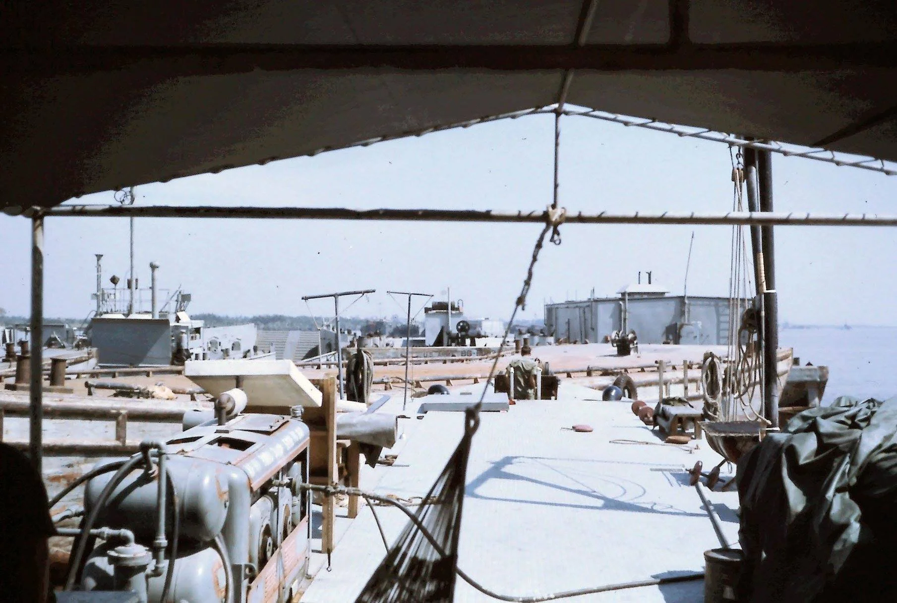 irish pennant 1971.jpg