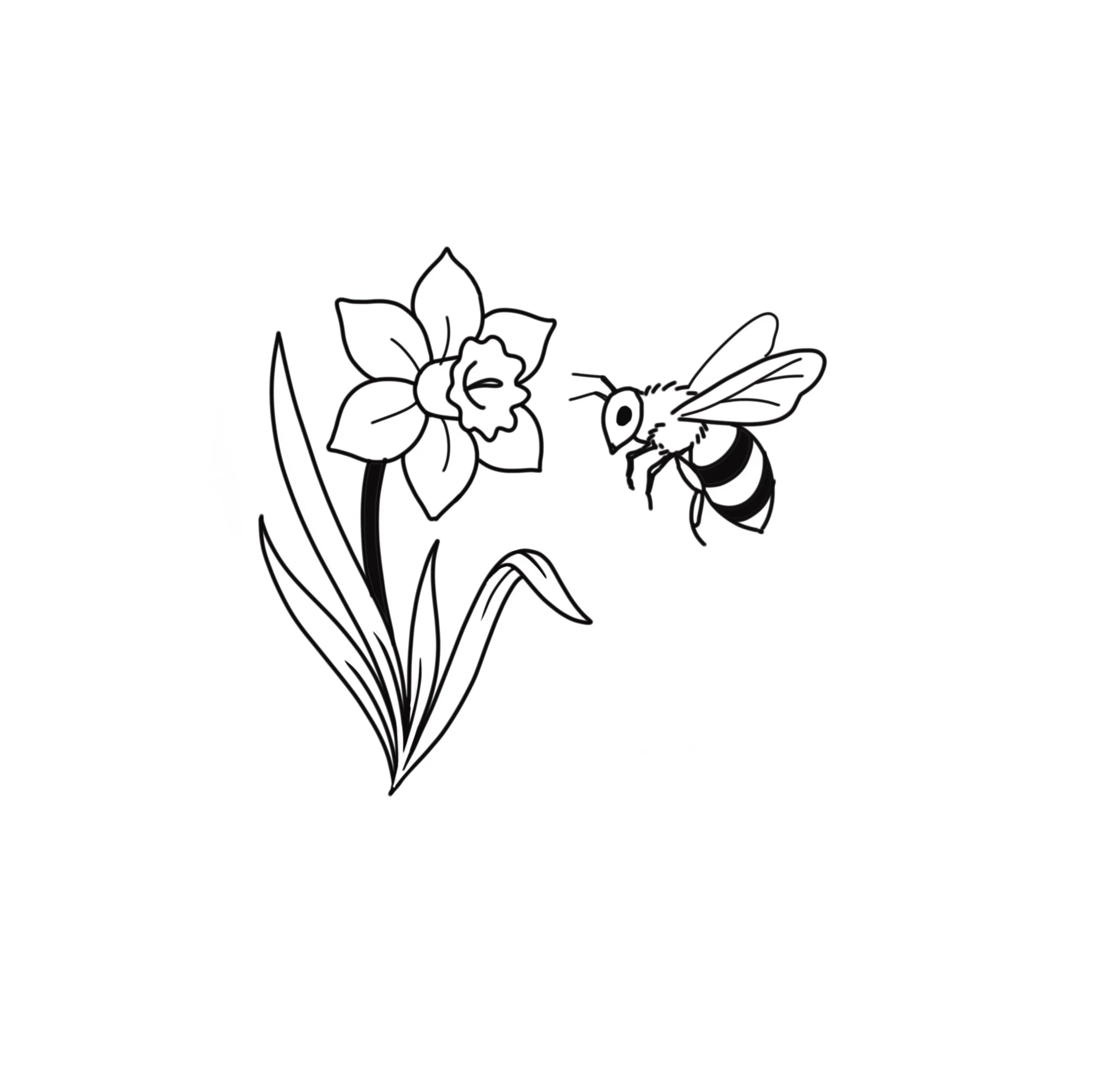 Bee & Daffodil