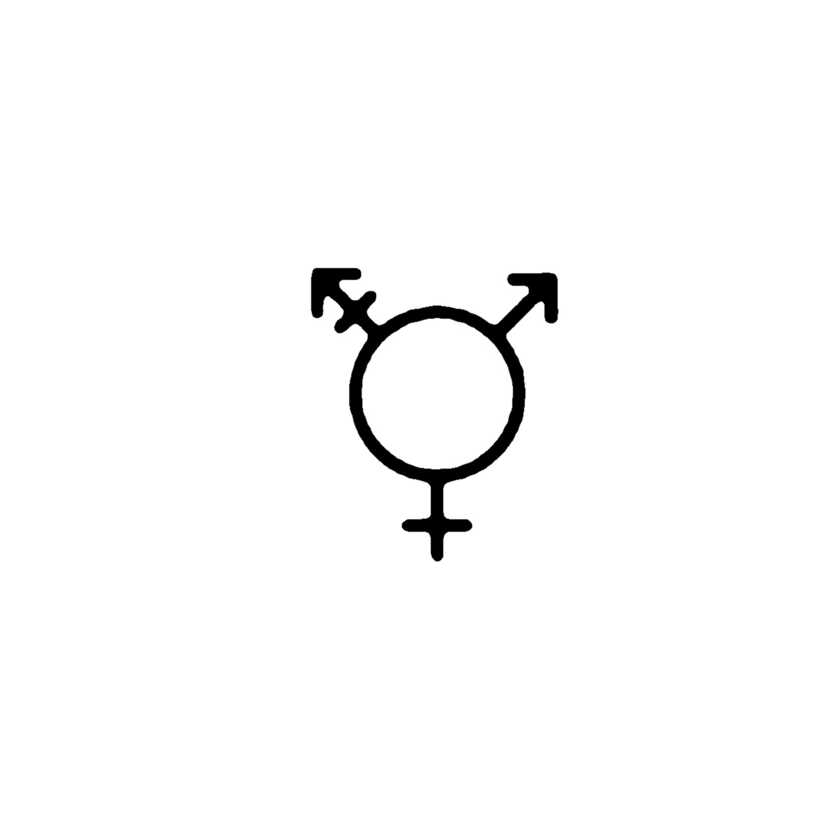 Transgender Icon