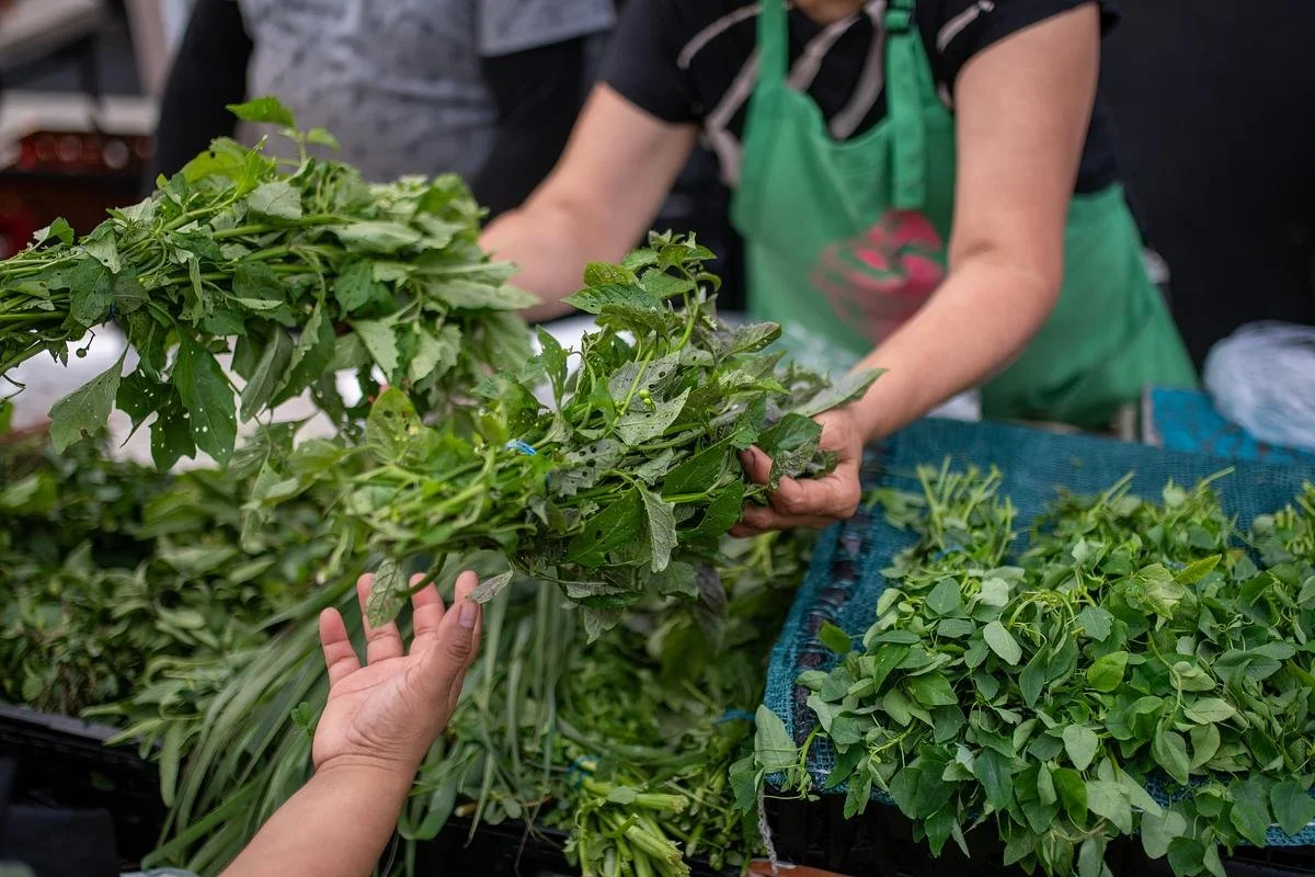 CSA is a SNAP New Partner Farm Interest Form