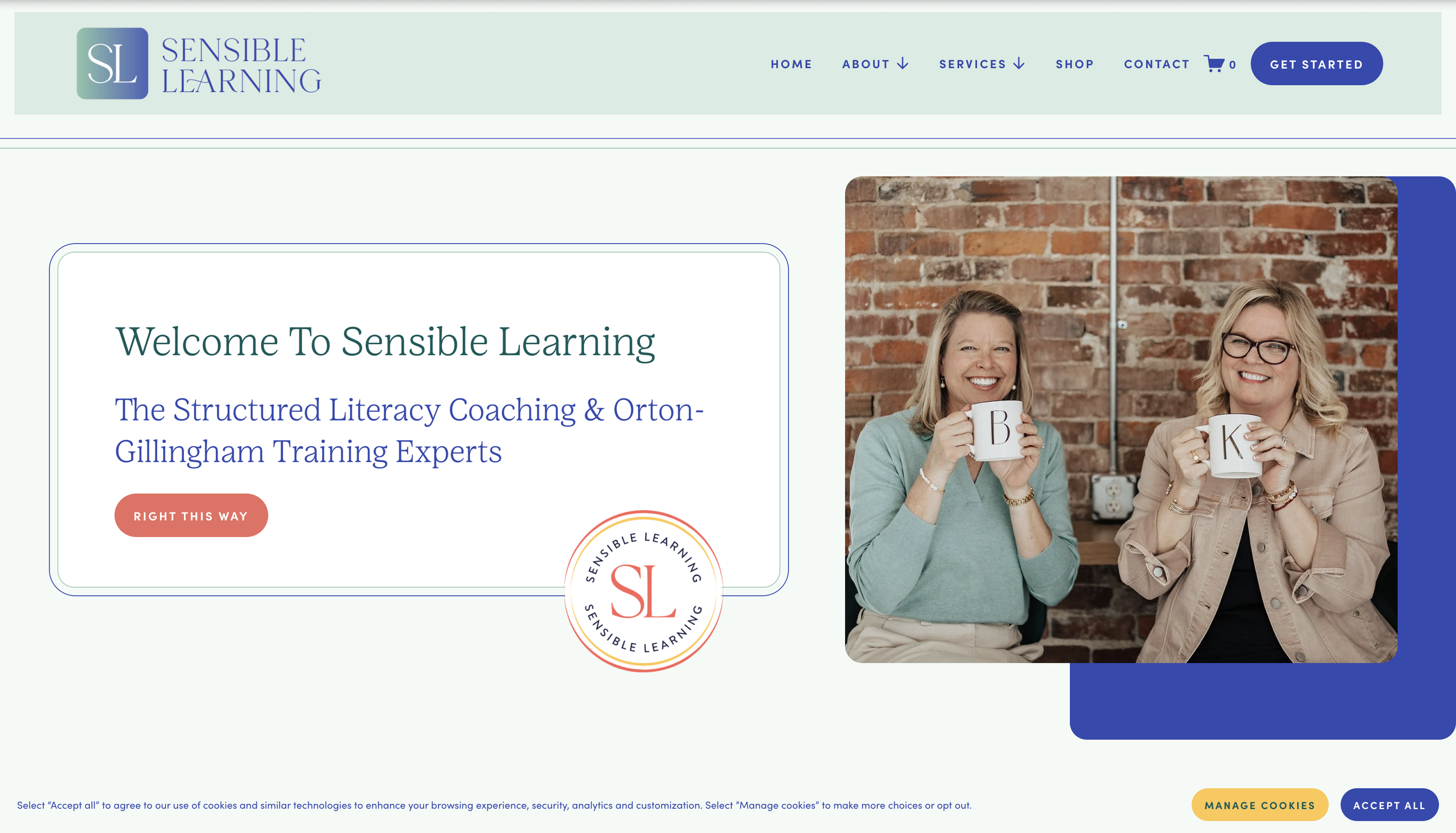 Sensible Learning - Full SEO Web Design + Branding