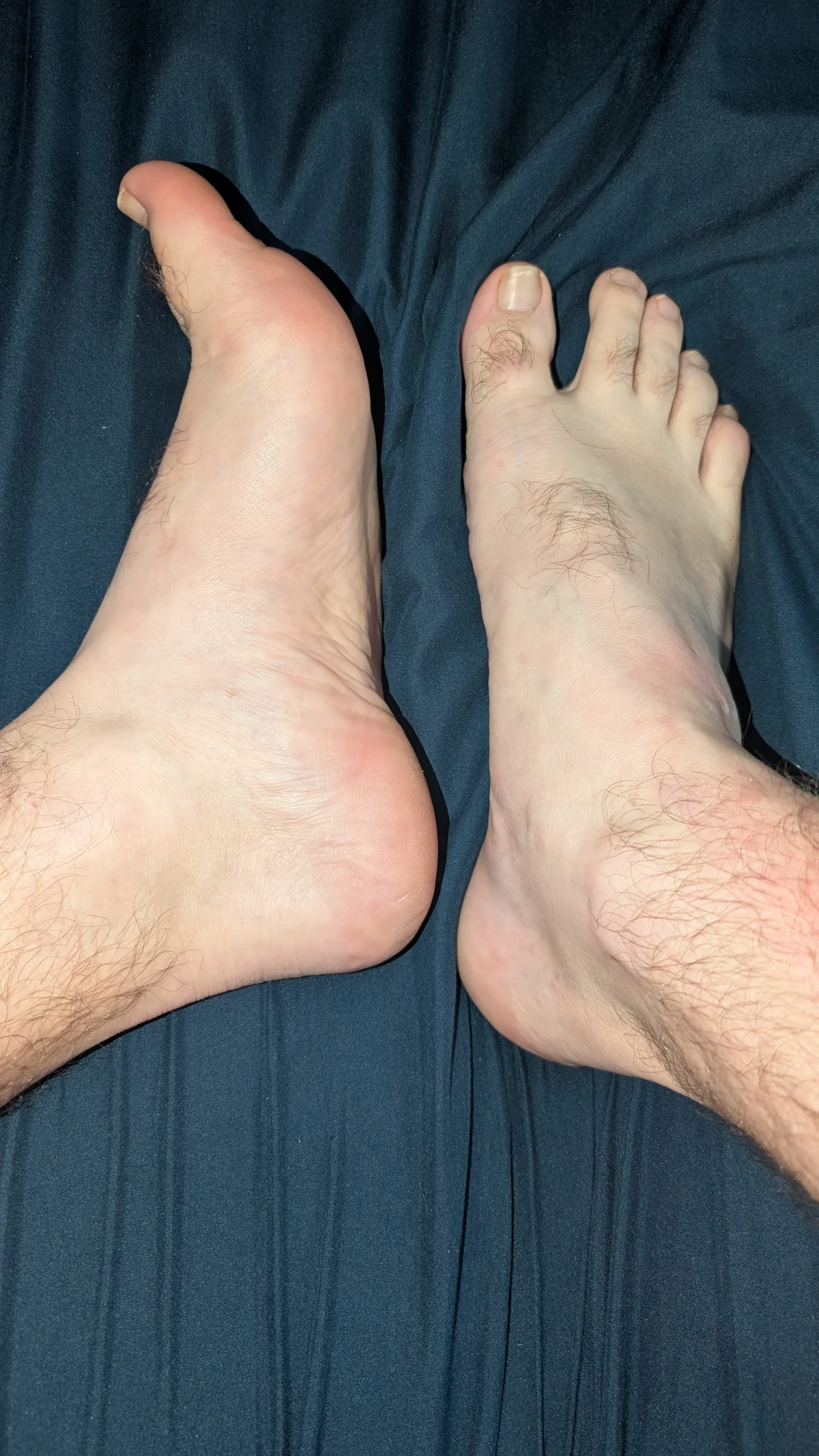 Real Dad Bod - Want these feel wrapped around your cock or toes gently teasing your pussy - either way we are going to have fun...