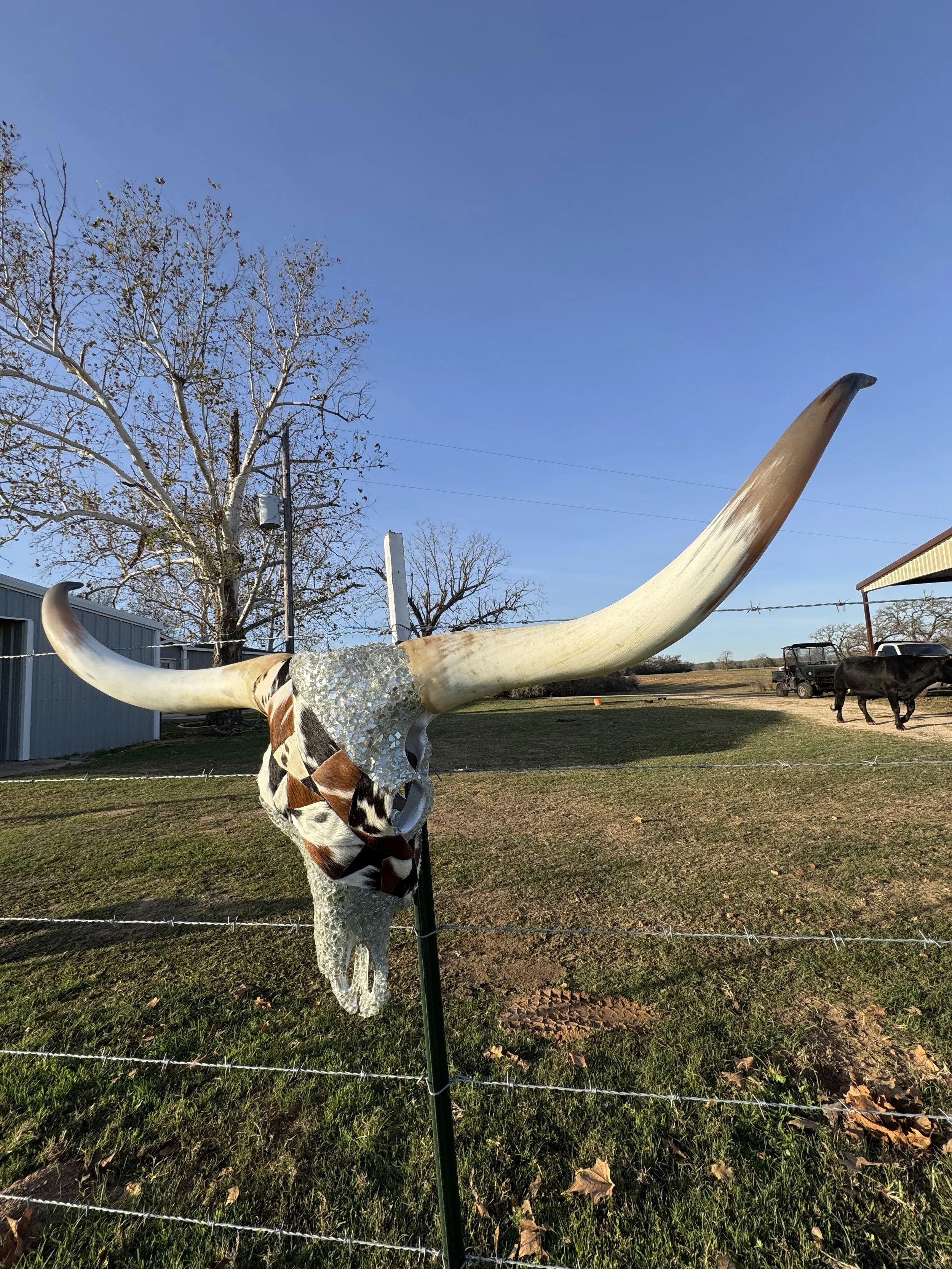 Cowhide and Silver Crystal Longhorn