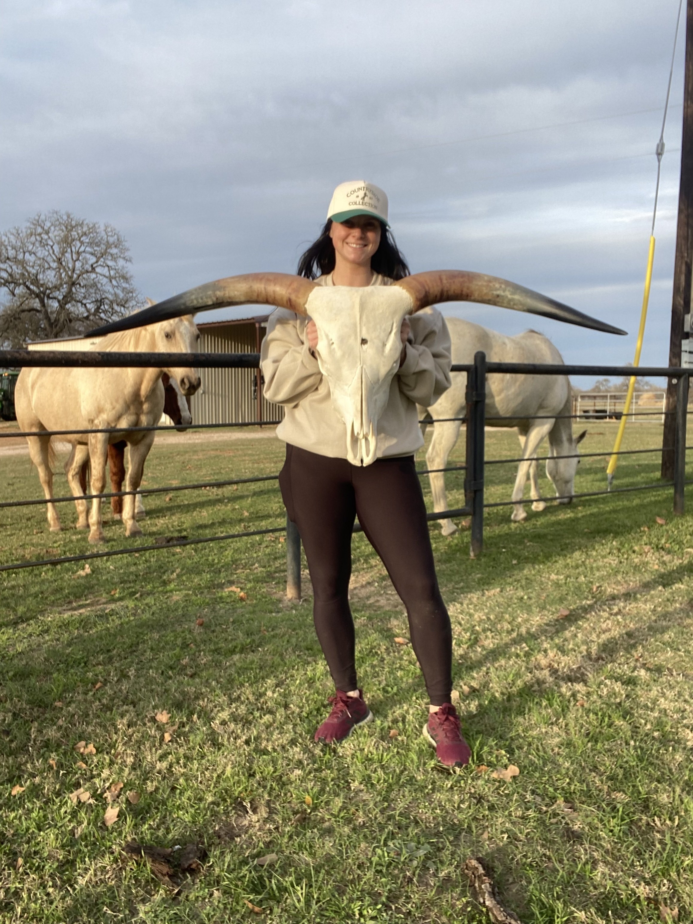 Customizable Longhorn Skull