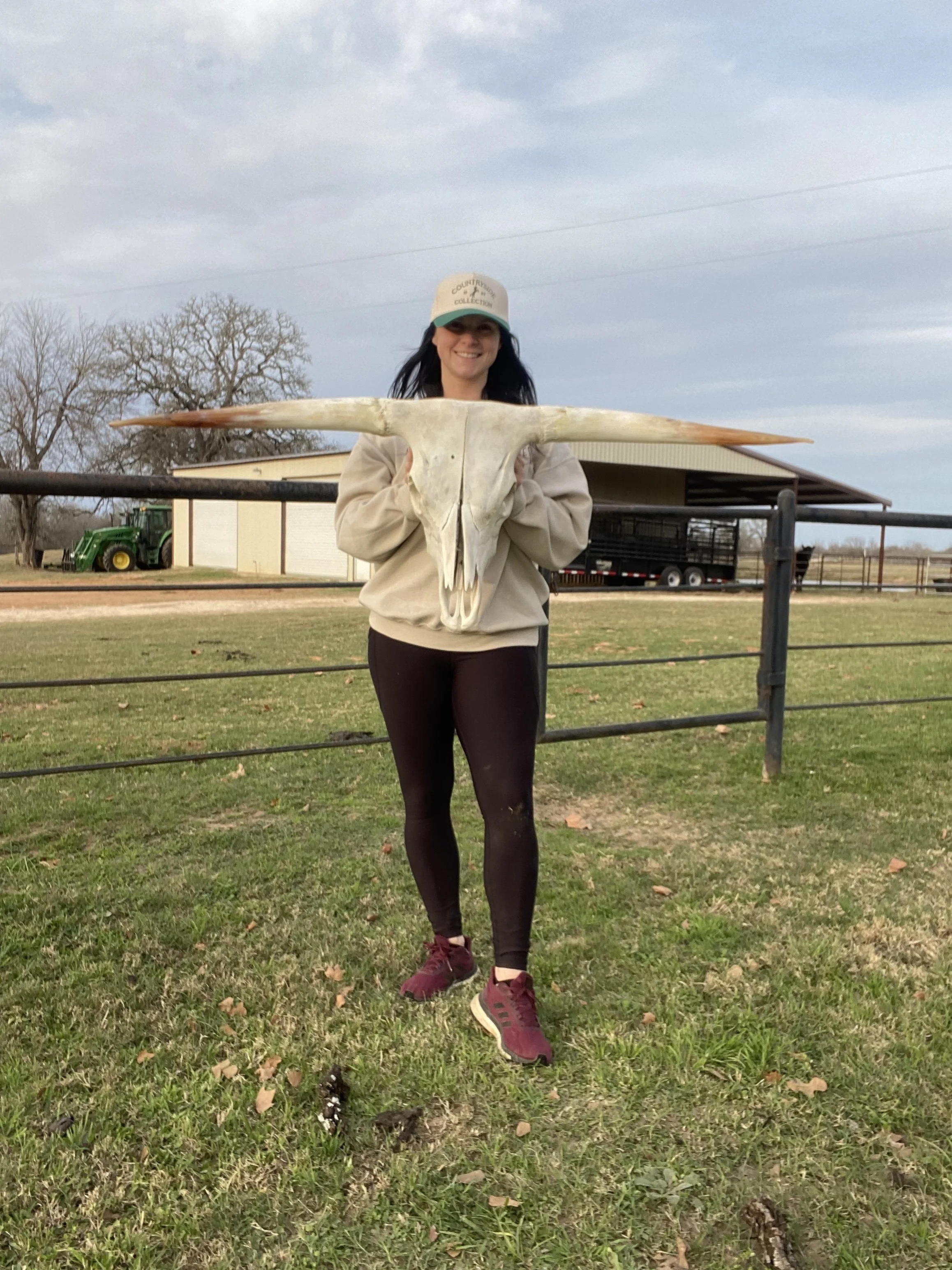 Customizable Longhorn Skull