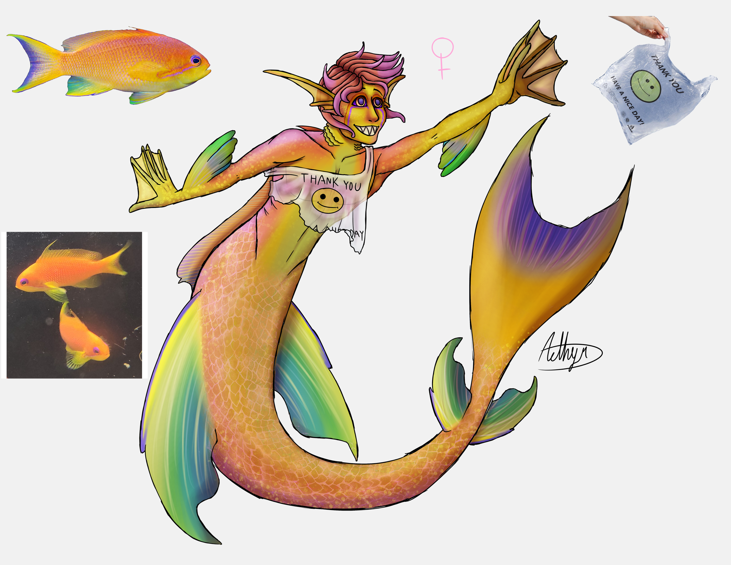 Female Design