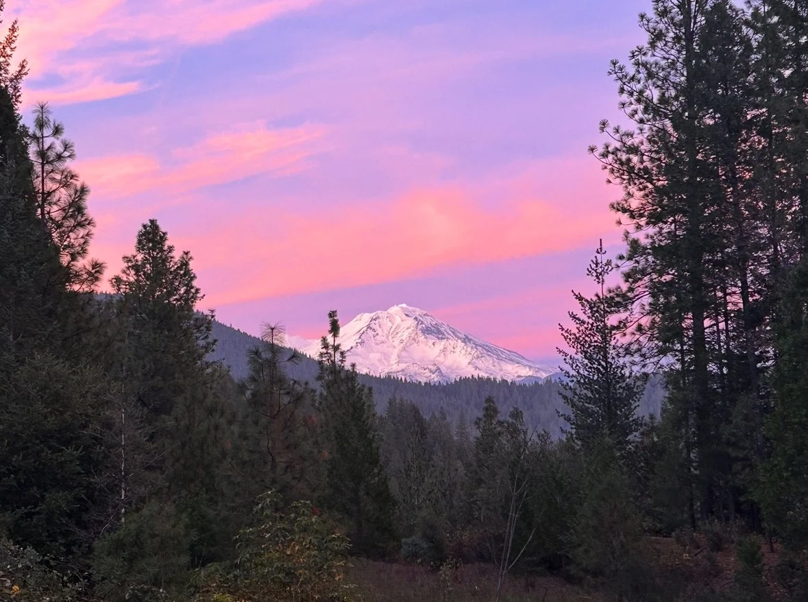 Beyond the Studio Walls: 10 Years of Retreats, Adventure &amp; Transformation