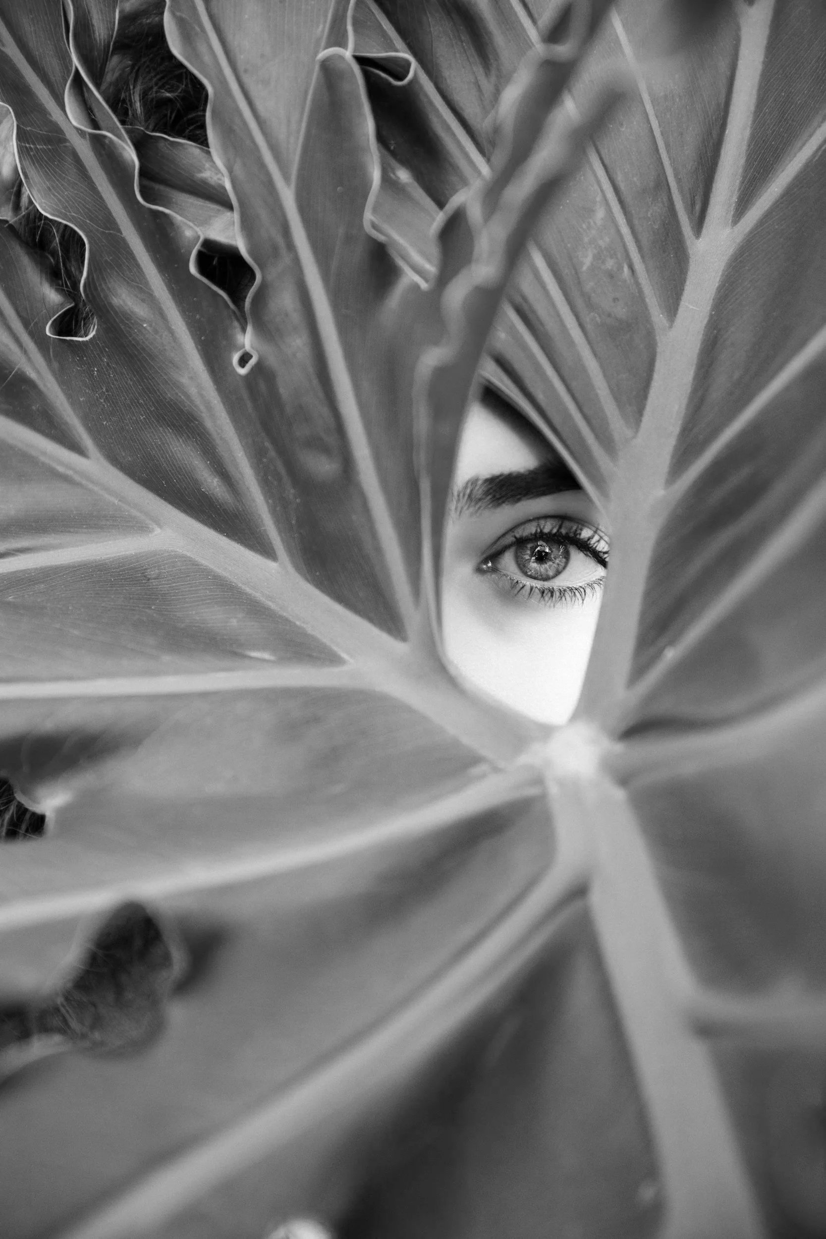 unsplash-image-cTKGZJTMJQU.jpg