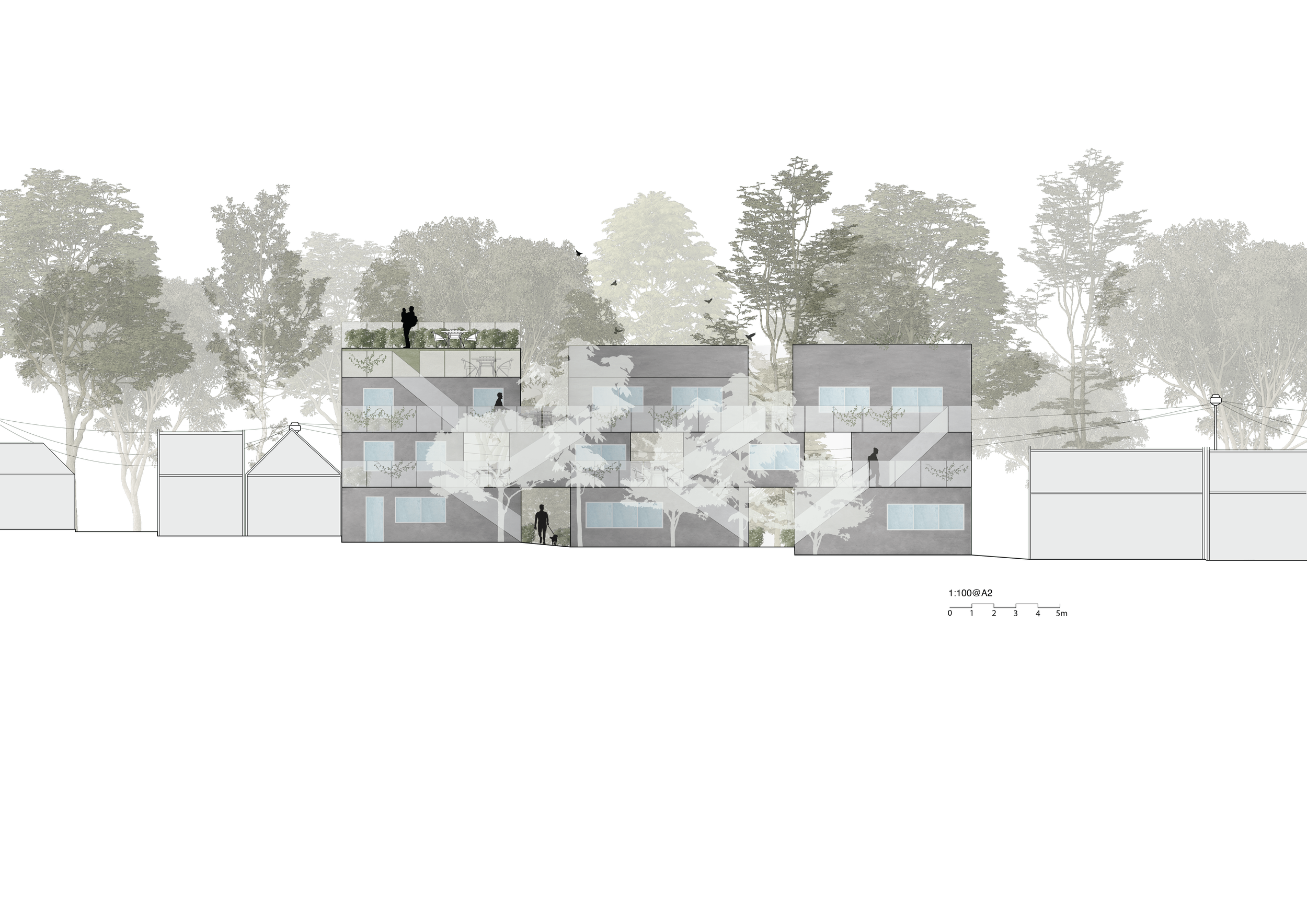 South Elevation