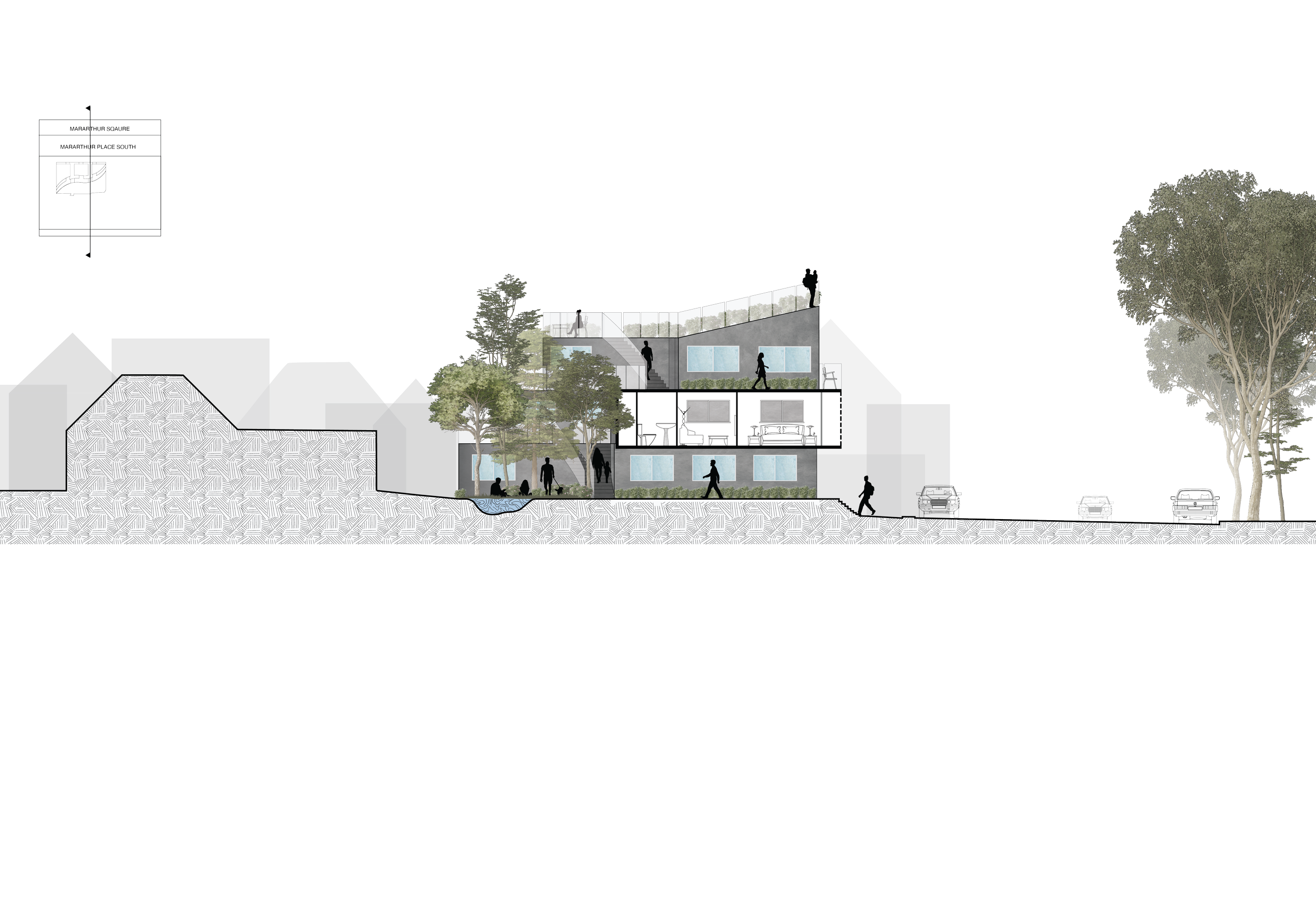 North-south Section