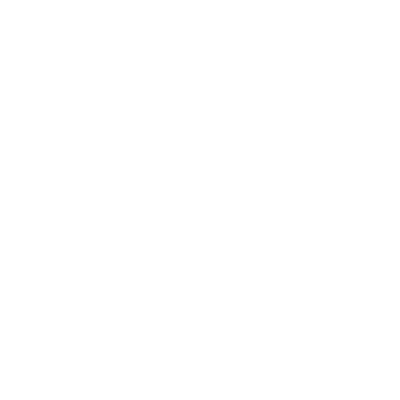 Terrapin Construction Group Logo