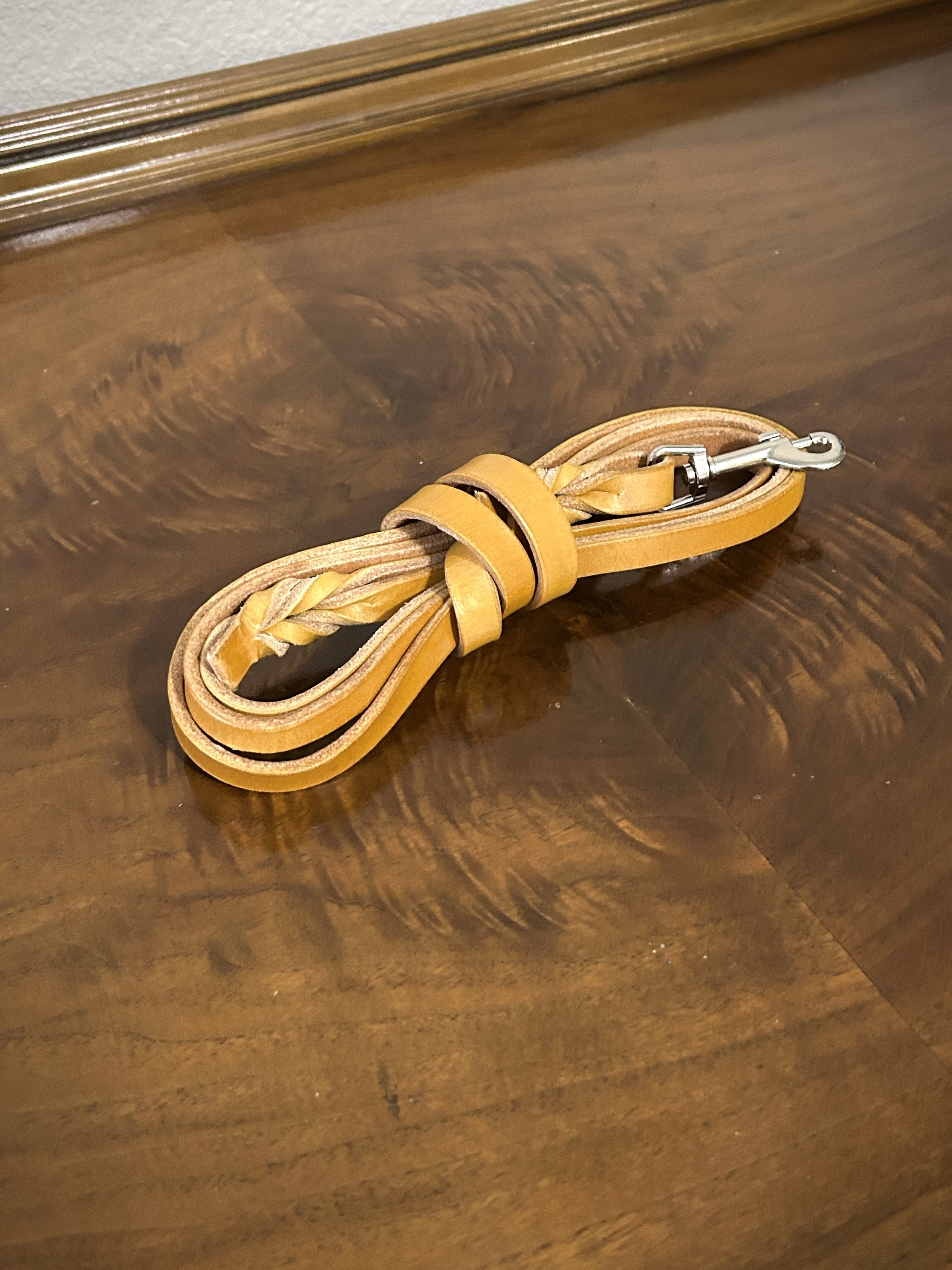 Leash - Lightweight Lead - 6ft