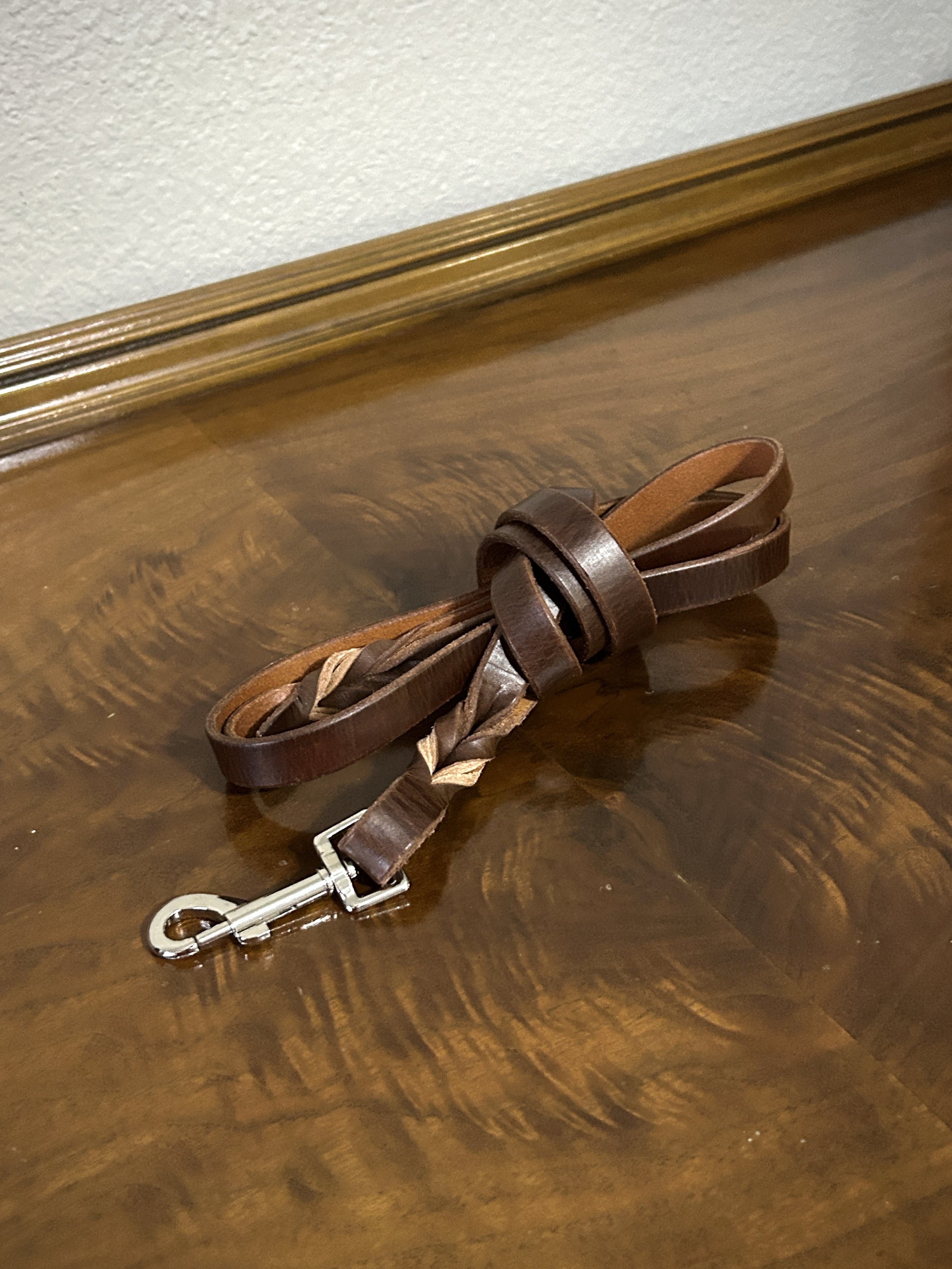 Leash - Training Lead - 6ft