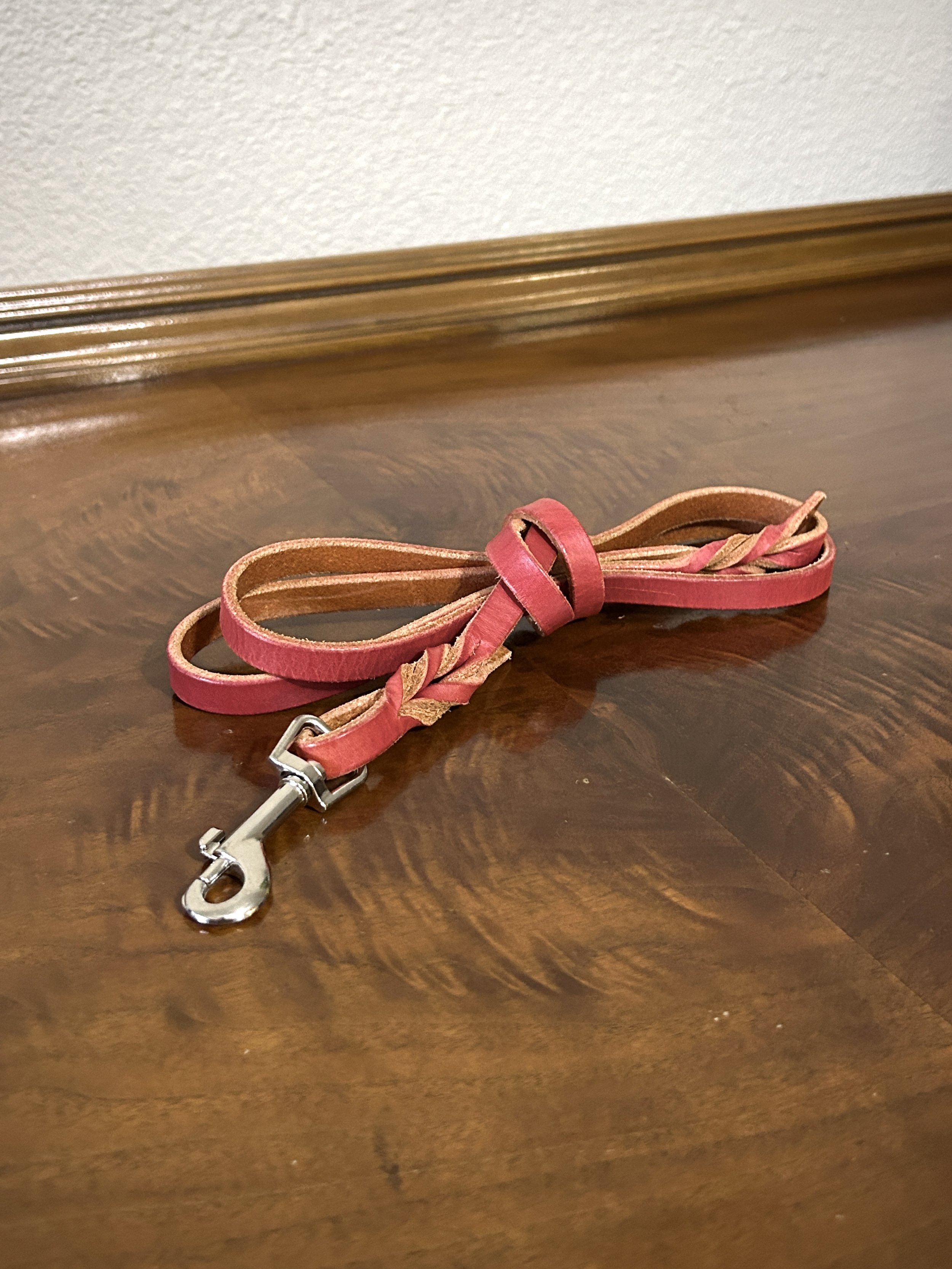 Leash - Lightweight Lead - 4ft