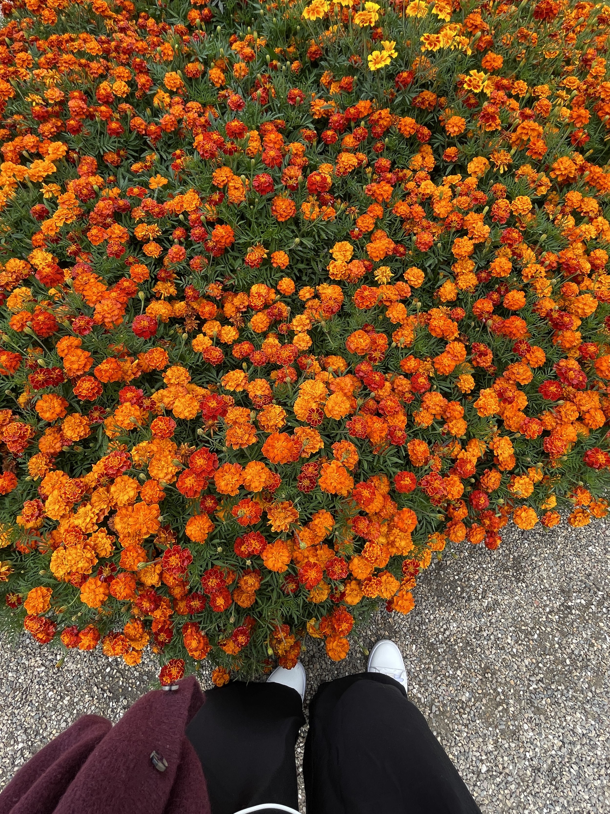Moving back home after living abroad: what I'd try instead of forcing myself to fit in
