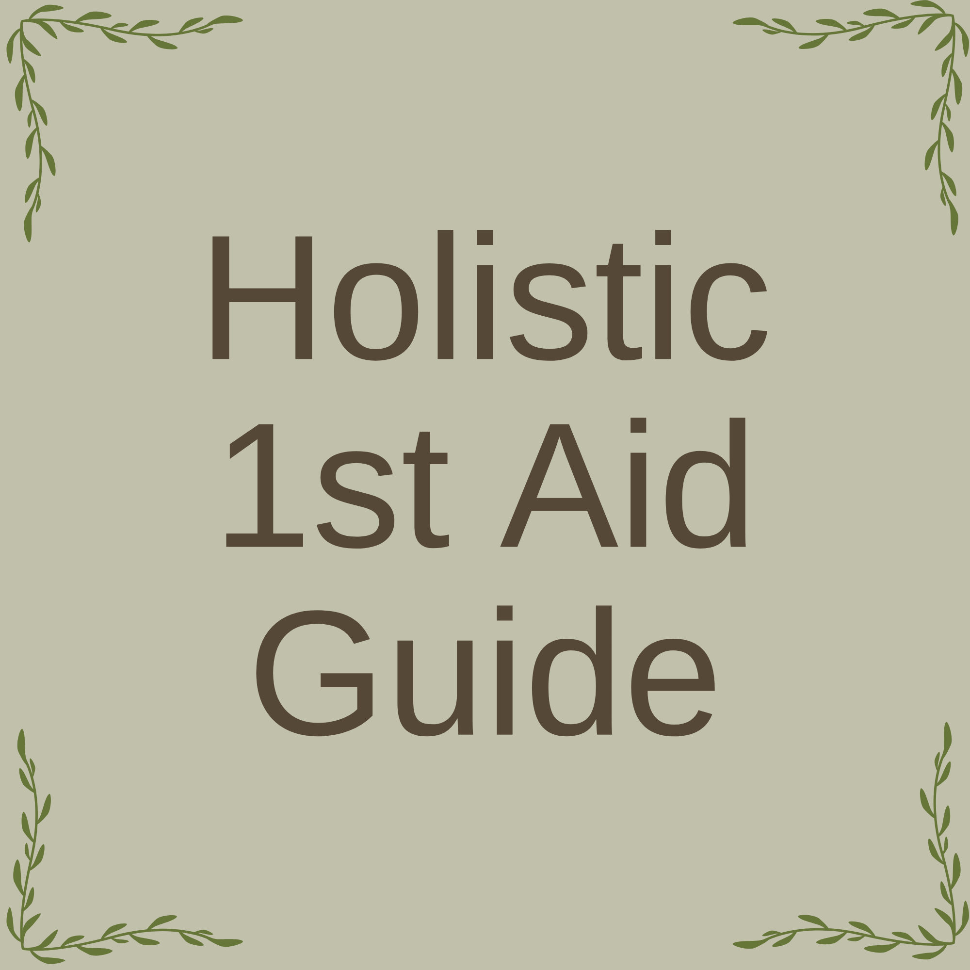 Holistic 1st Aid Guide