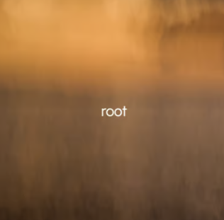 root: returning to center