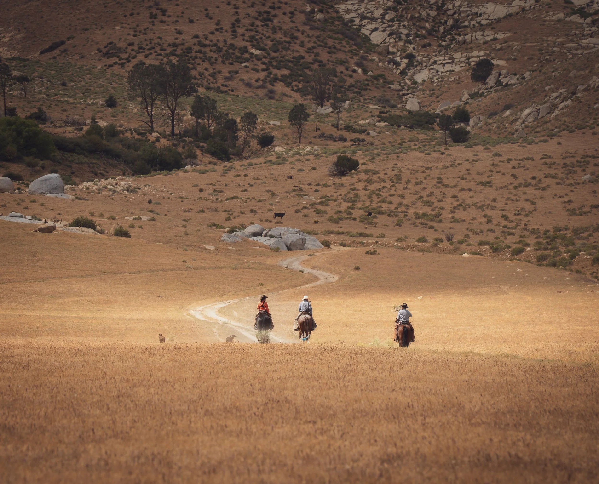 Hikers riding horses along a dirt trail in a mountainous, dry landscape with sparse trees and large rocks.