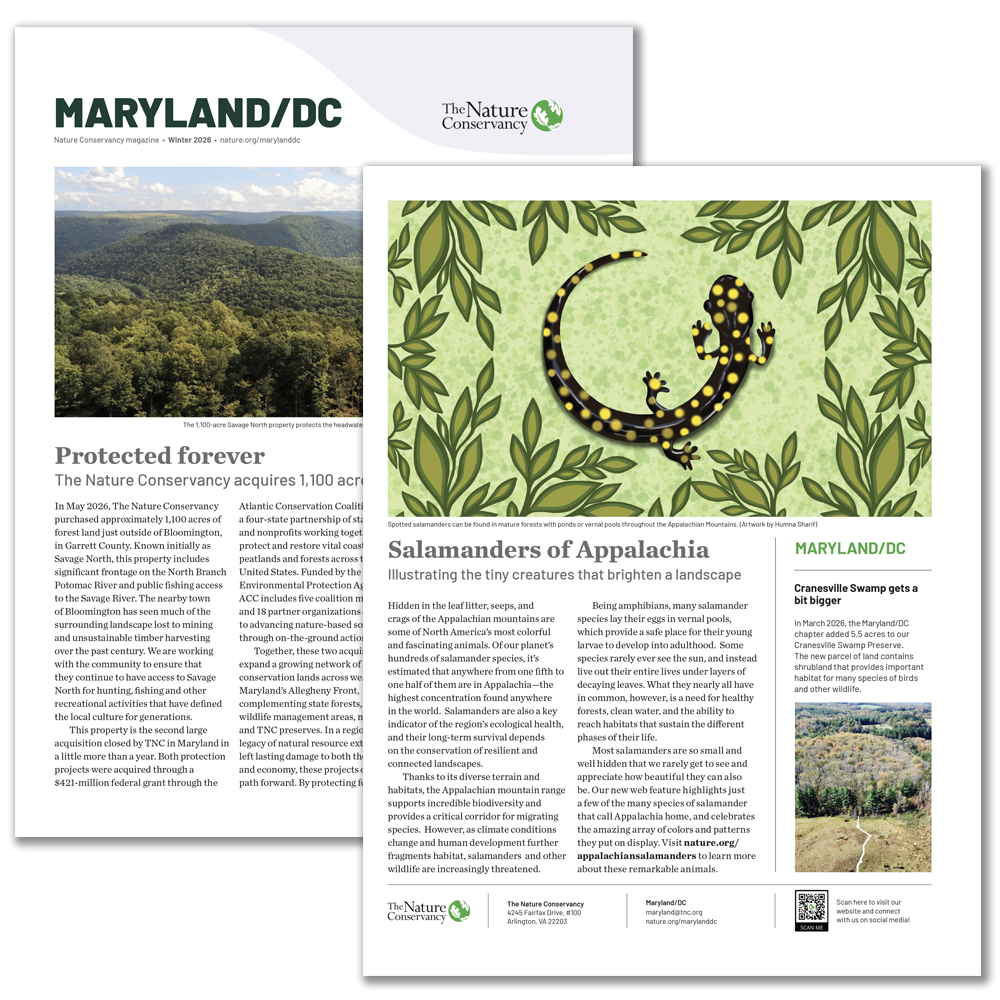 MDDC-newsletter.png