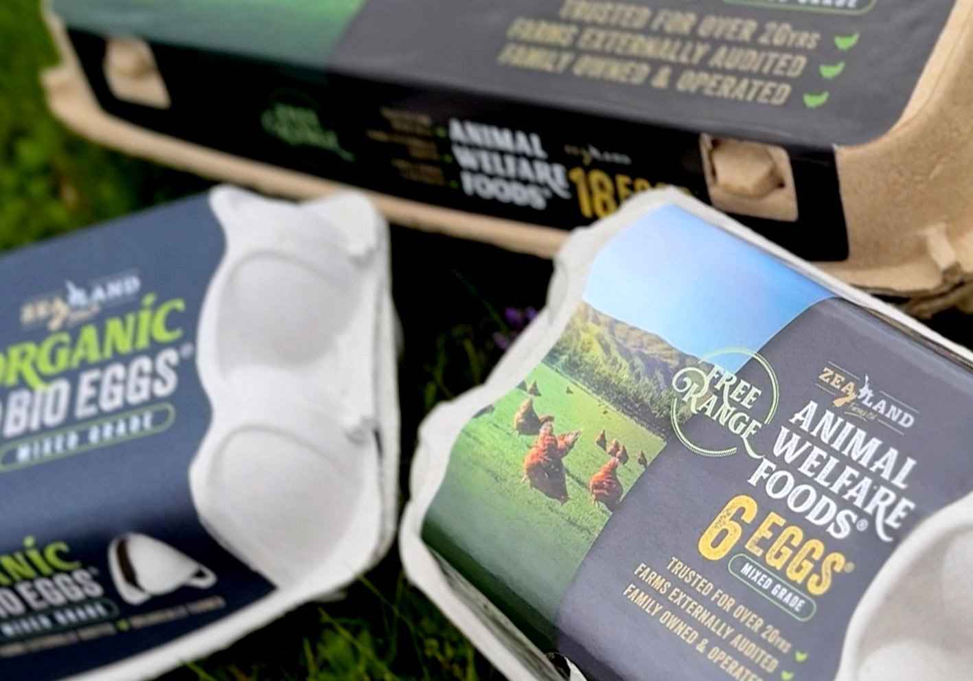 Close up of green and black Free-Range egg packaging