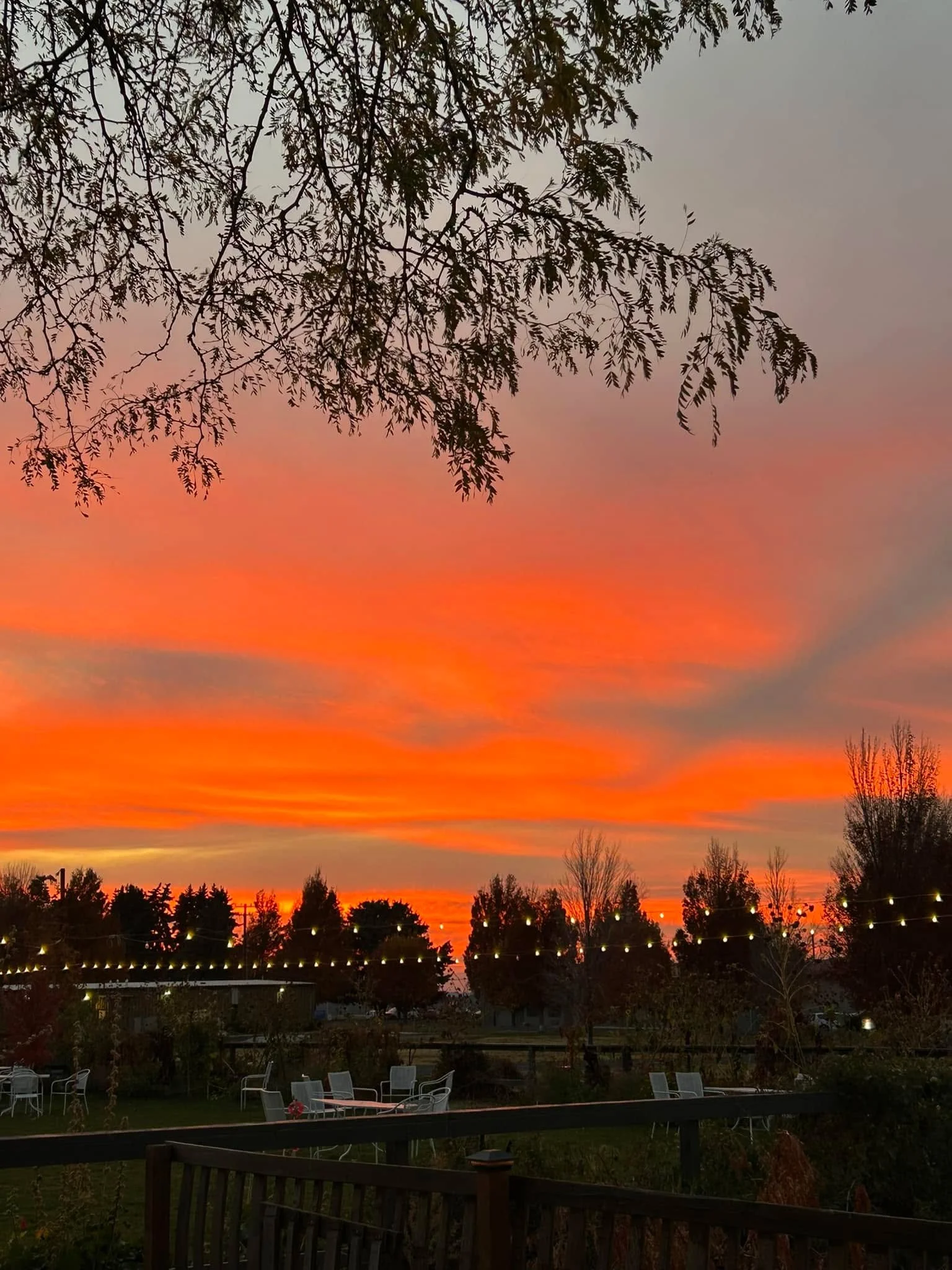 Another wow from Runway Market!!