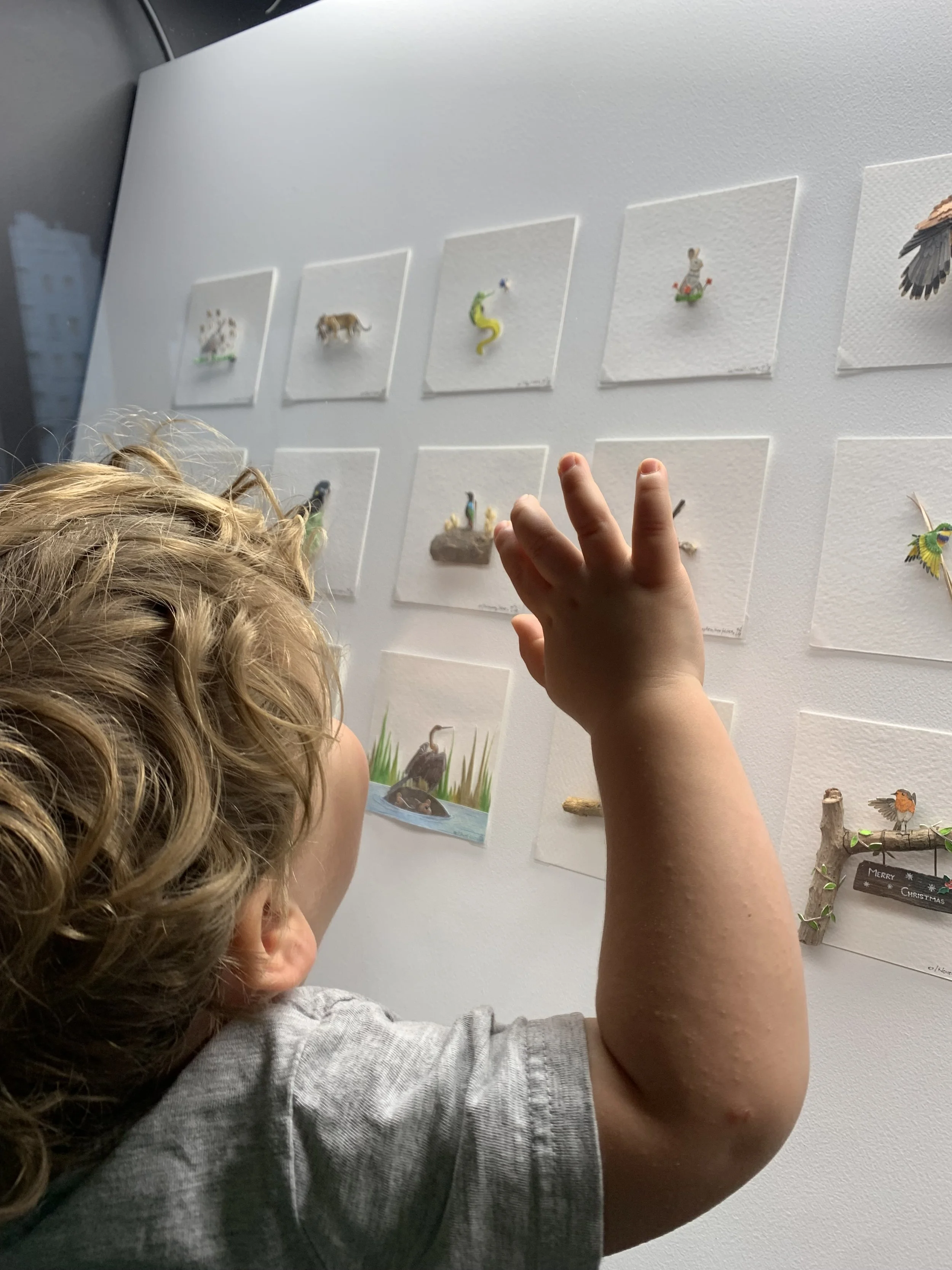 Child viewing a display of small animal illustrations on a wall, reaching towards them.