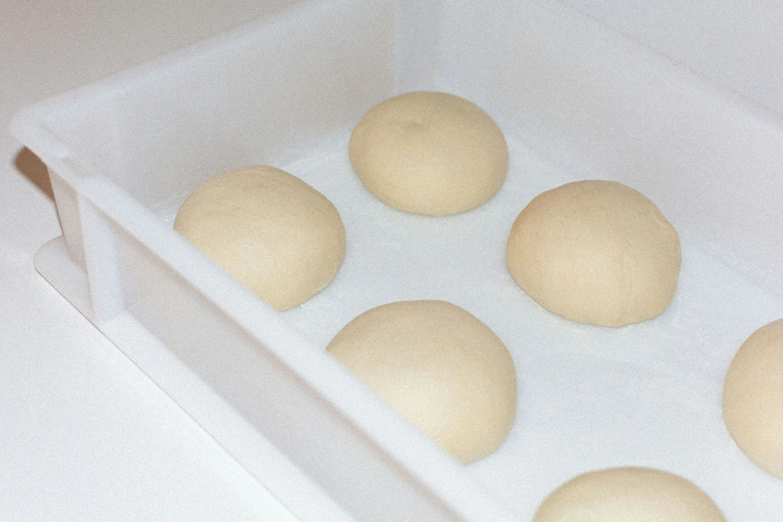 Proofing Dough