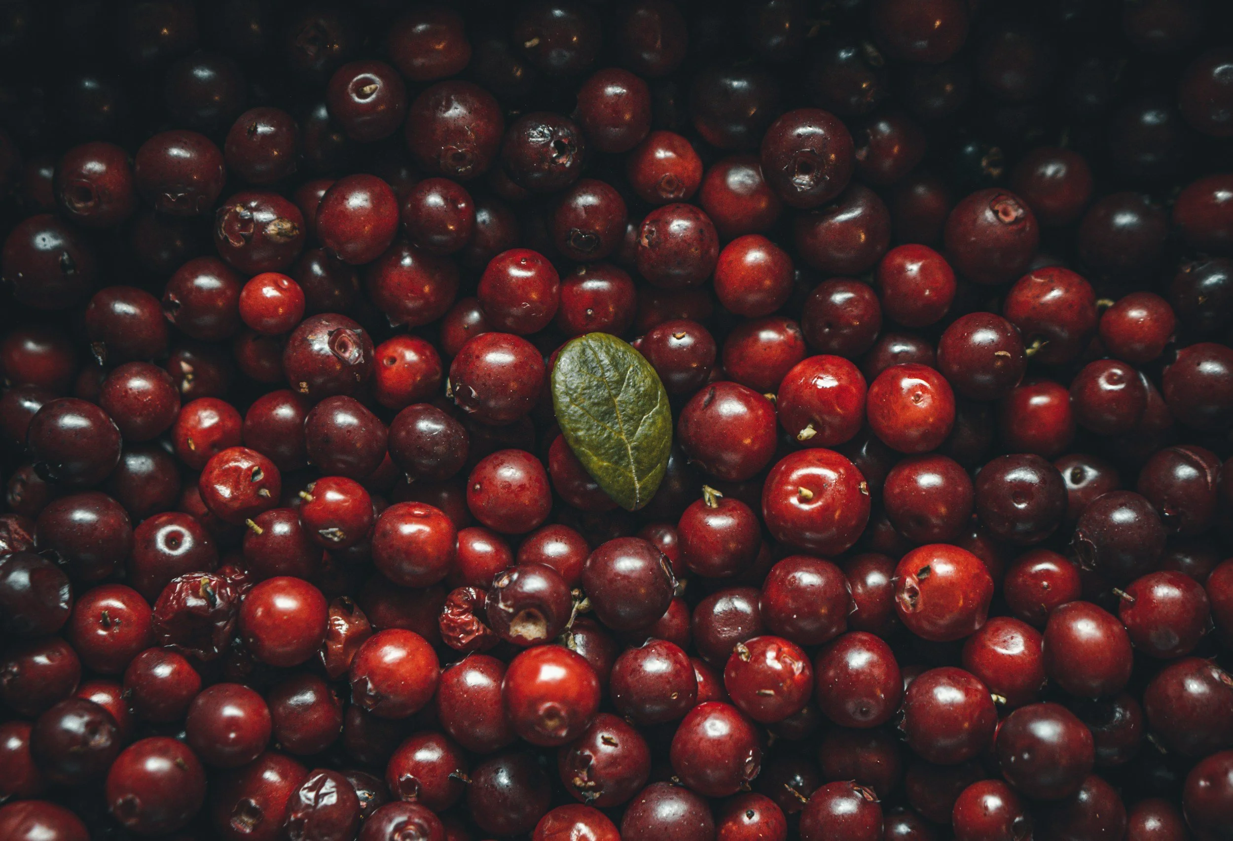 CRANBERRY HOUSE SYRUP
