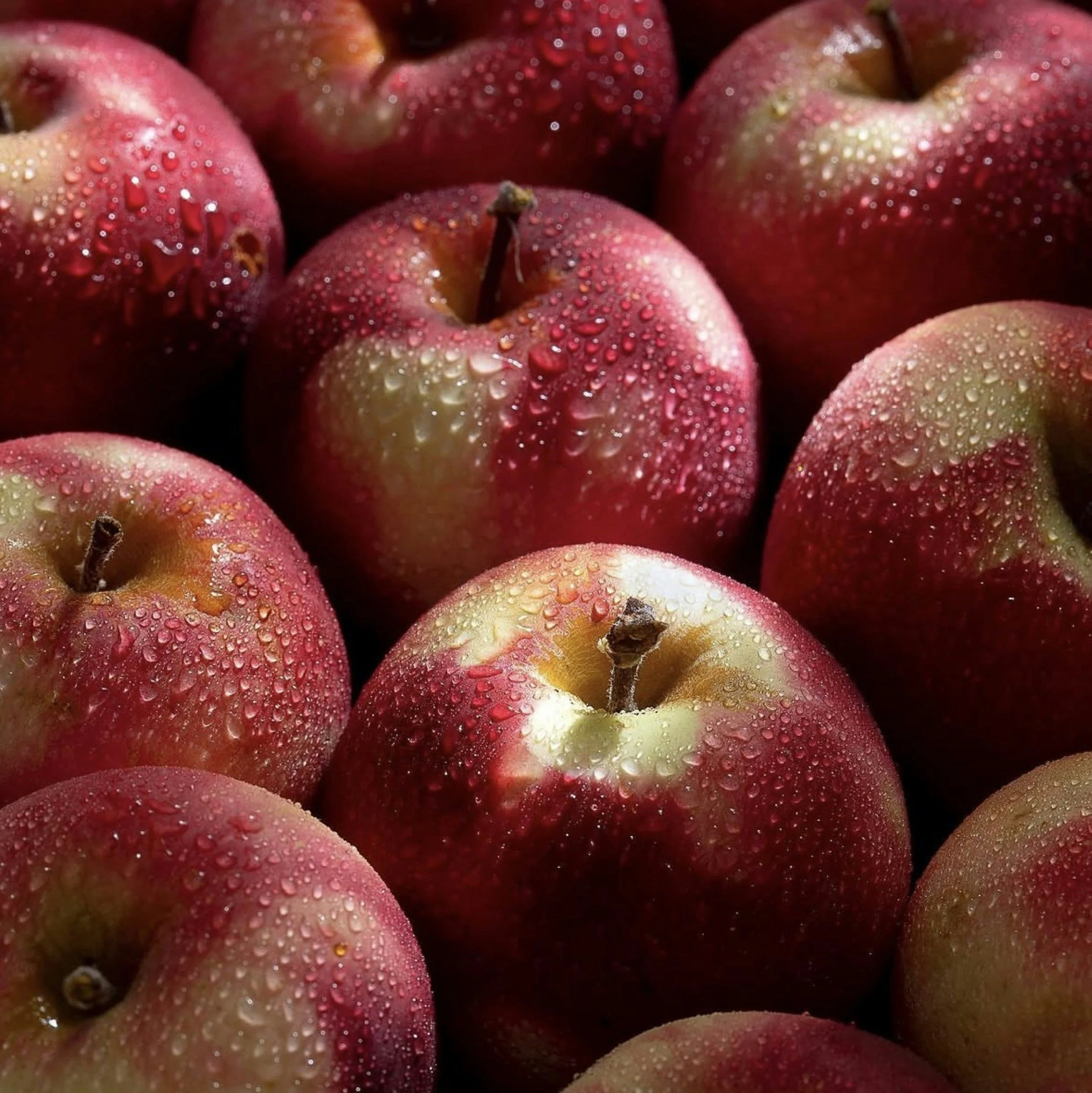 Apple Crisp Cafe Syrup